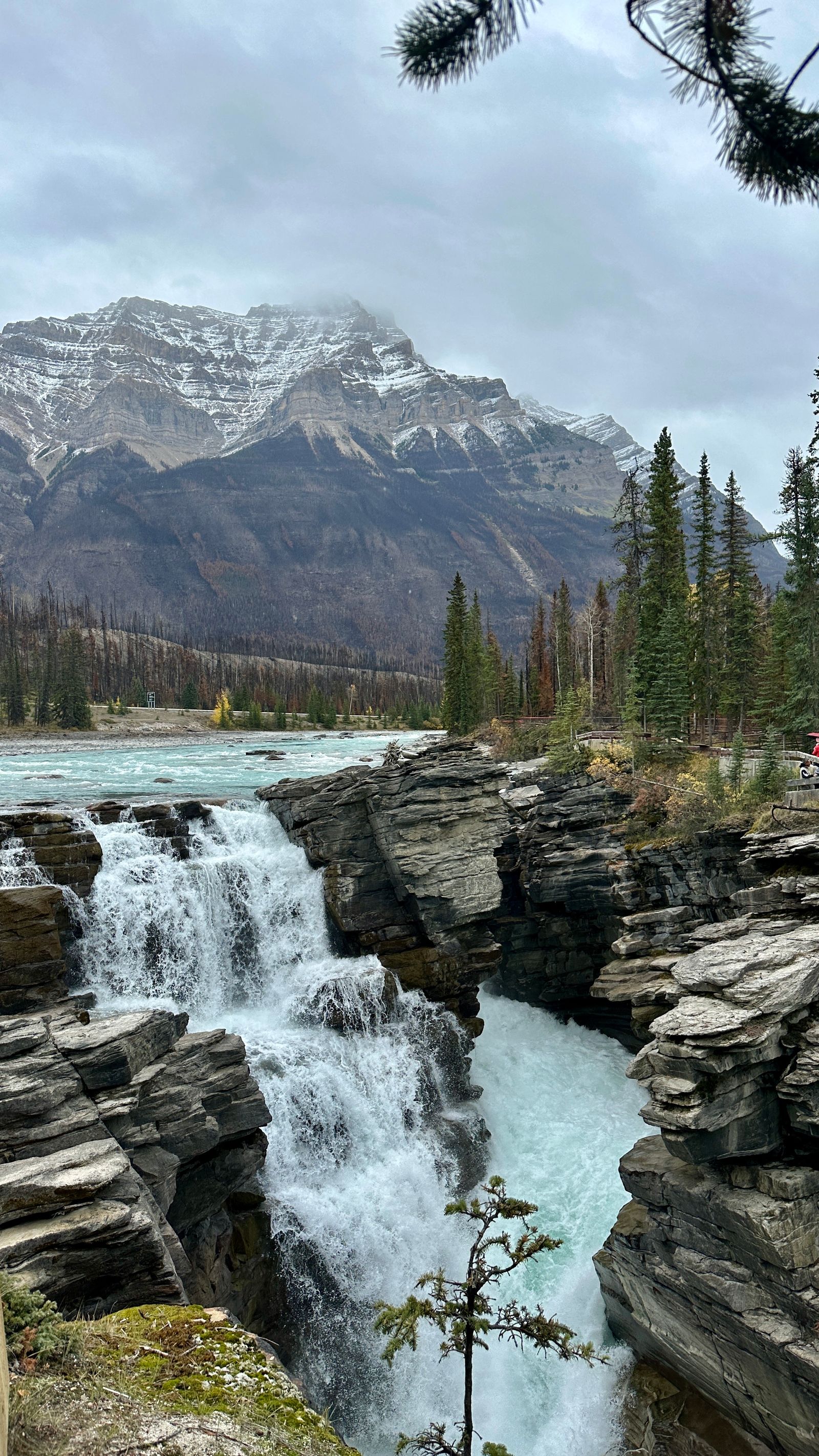 Athabasca Falls plunging through rock with snowcapped mountains beyond in Jasper National Park