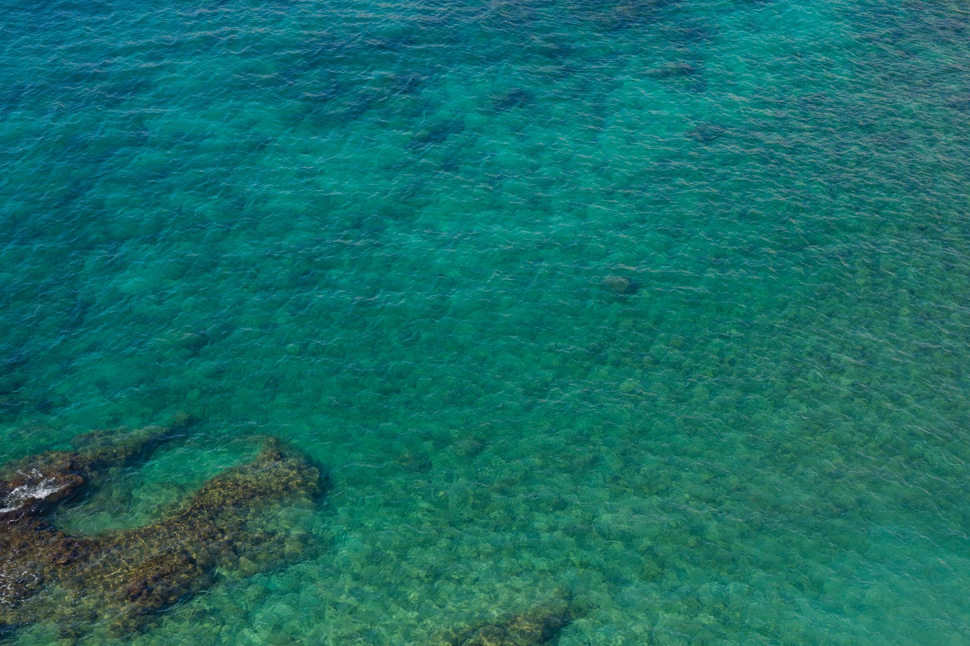 Underwater at Peros Banhos Wall