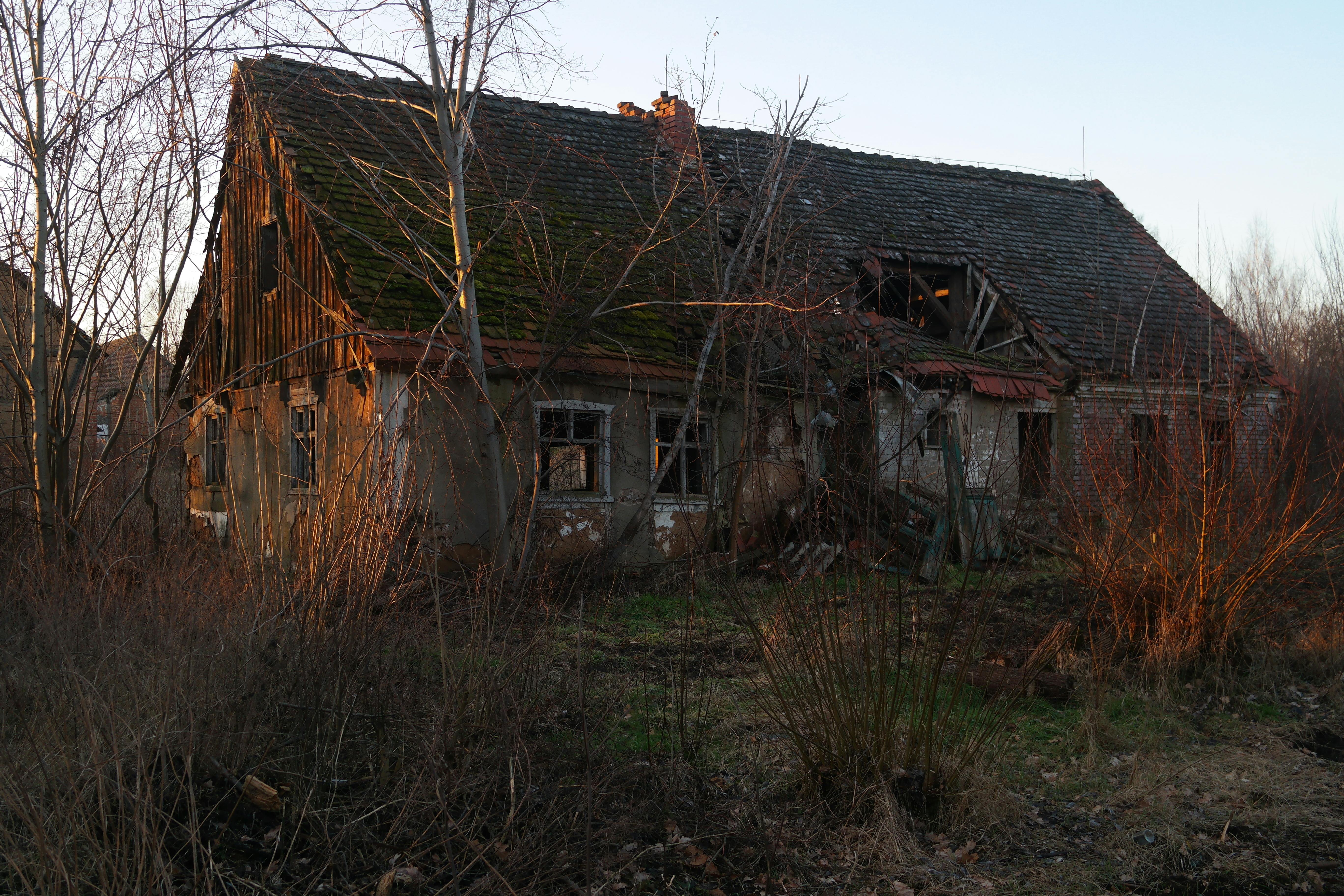 The Energy Vampires Haunting Your Home — Photo by Roman Biernacki on Pexels