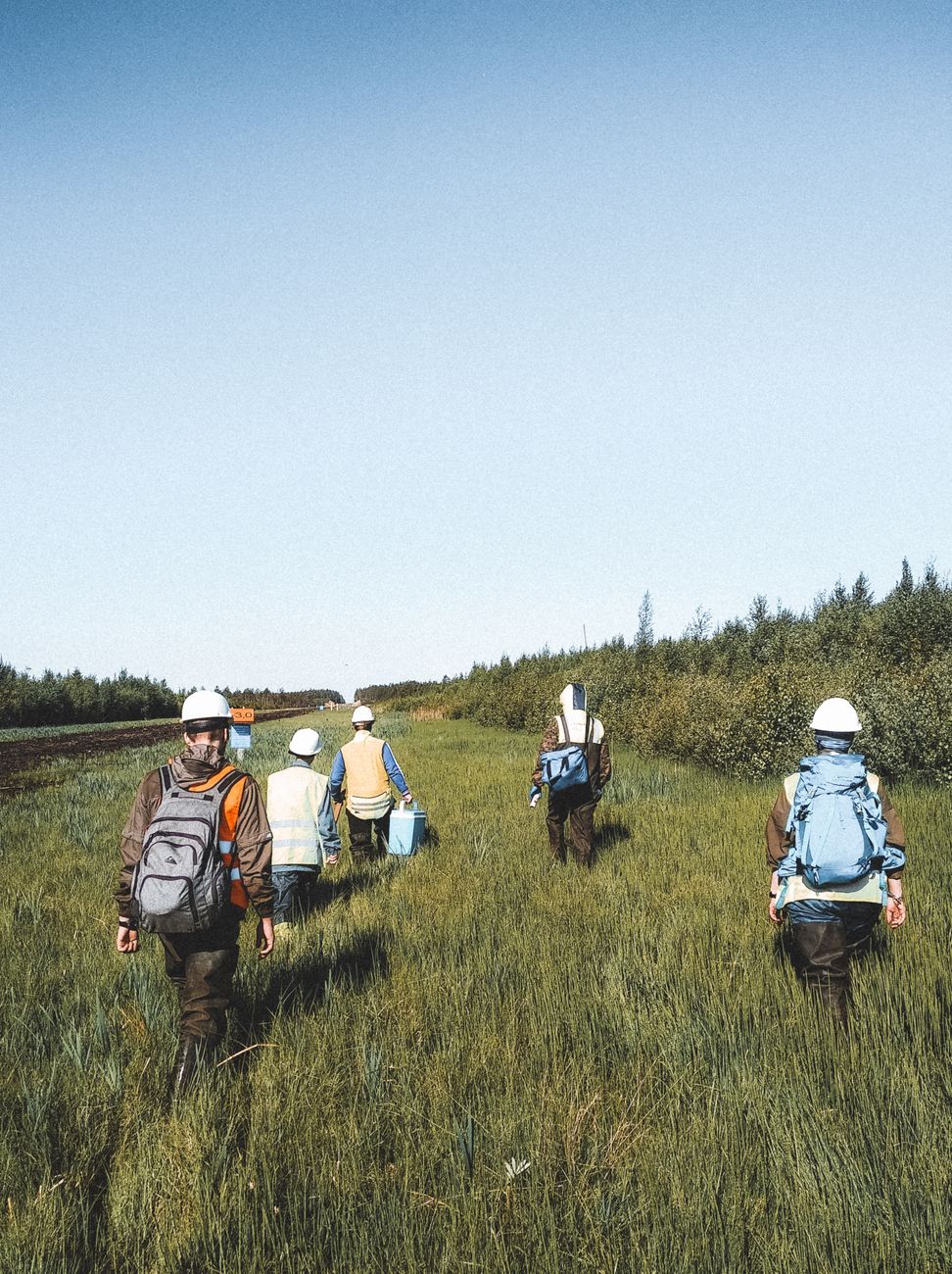 Group of environmental workers in grass field, Leningrad Oblast, conducting research.
