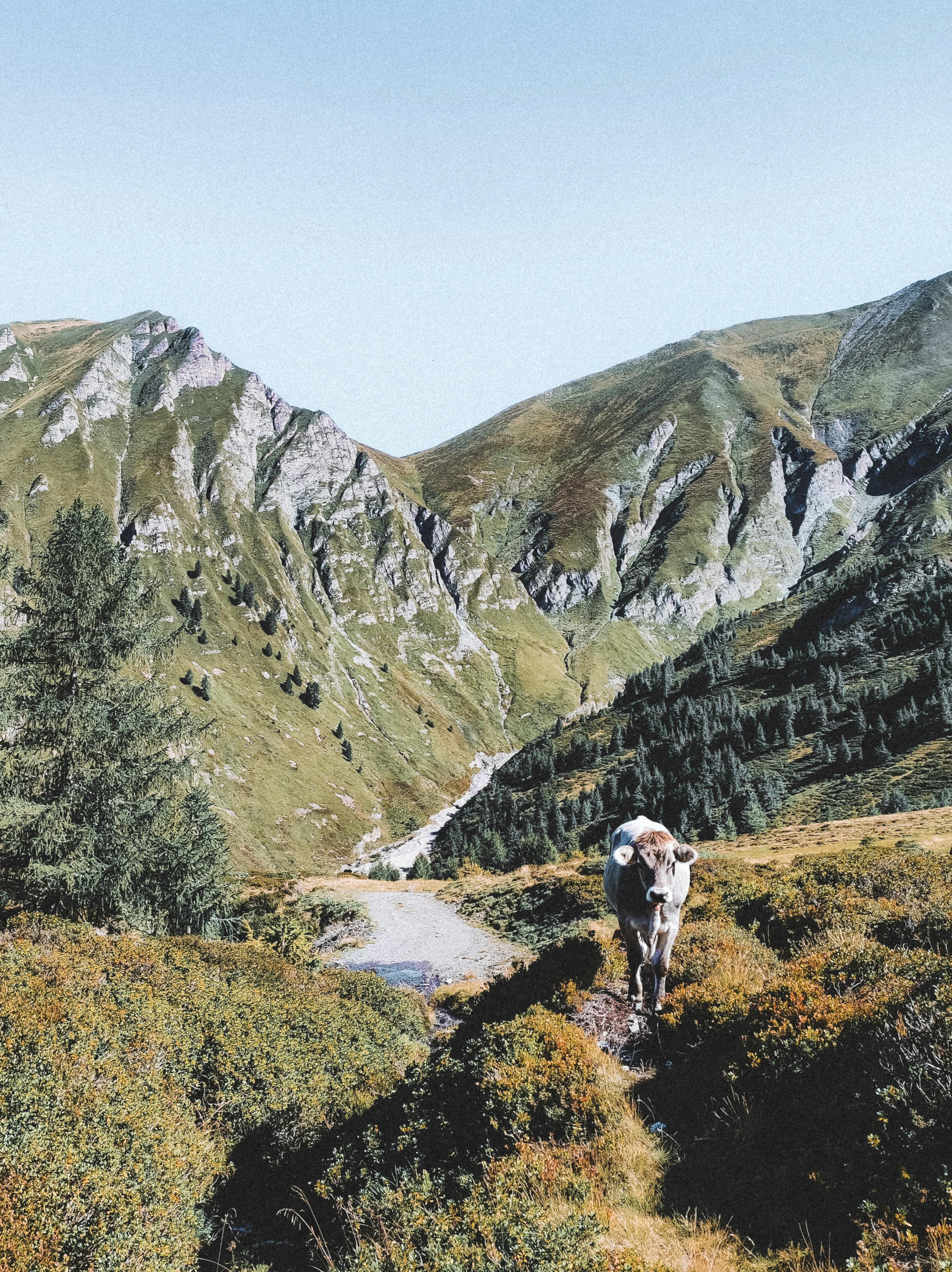 Biofarm insights image