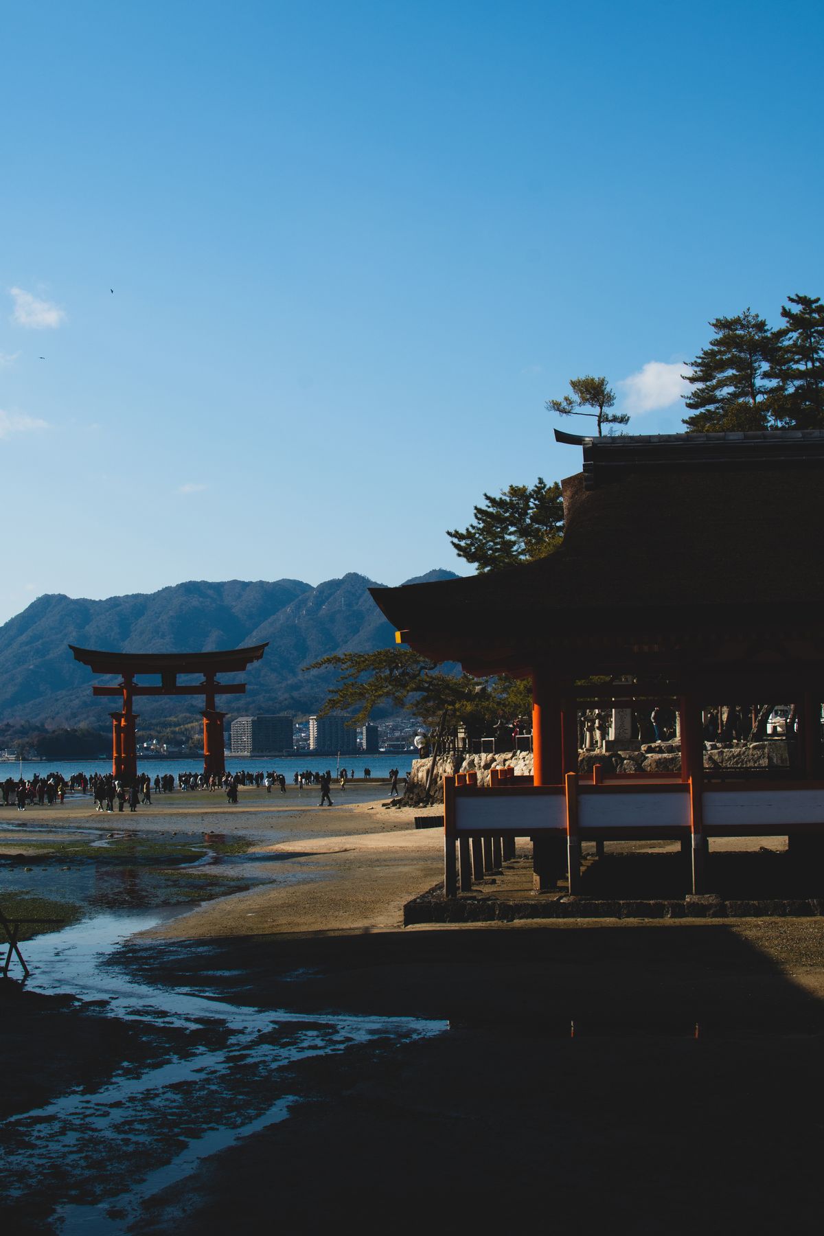 The vermilion halls and torii gate of Itsukushima Shrine on Miyajima Island