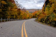 道路两侧，蜿蜒的树木在秋天展现出丰富的色彩，充满活力