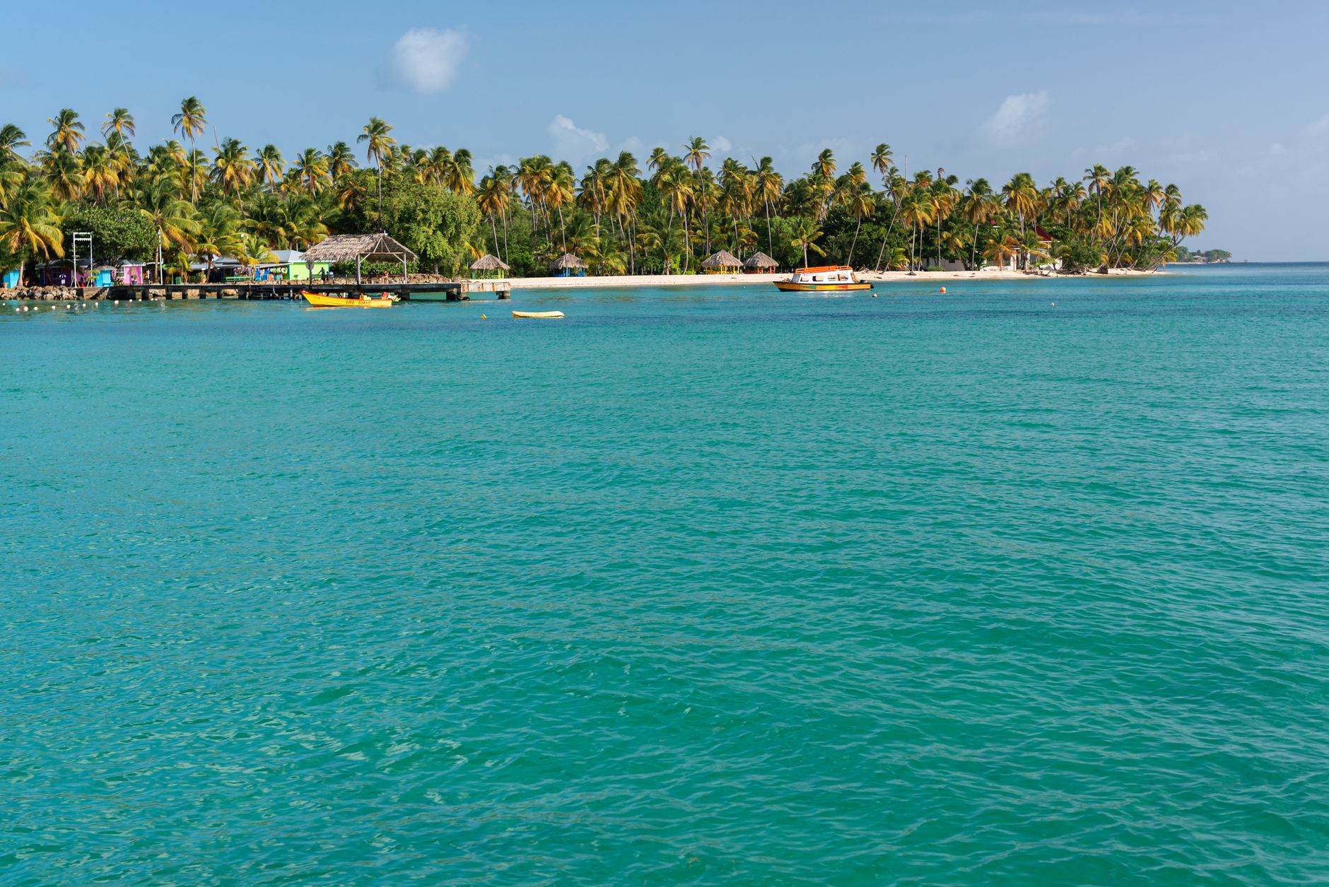 Tranquil beach with coconut palms and turquoise waters in Tobago, Trinidad and Tobago.