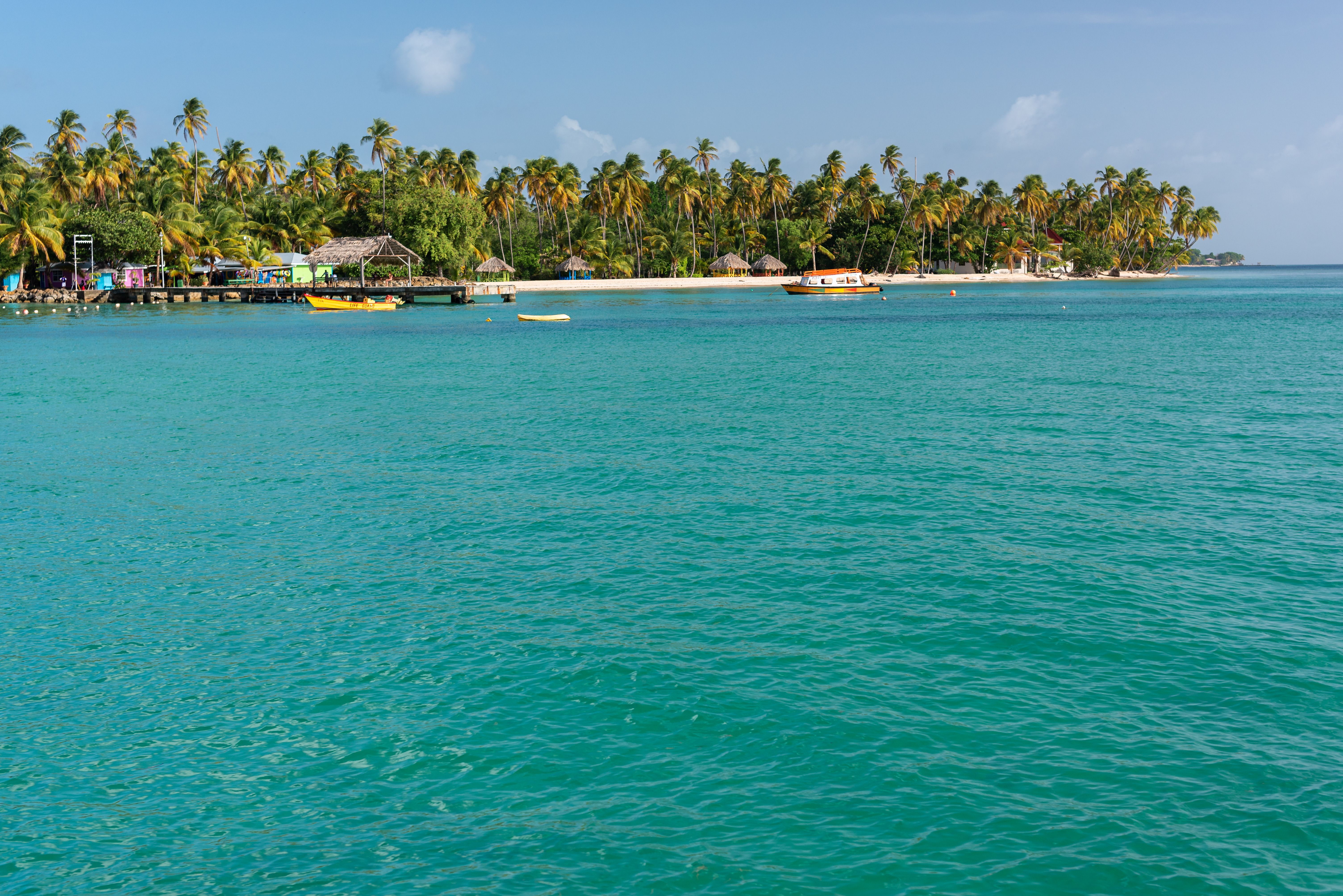 Free Tranquil beach with coconut palms and turquoise waters in Tobago, Trinidad and Tobago. Stock Photo