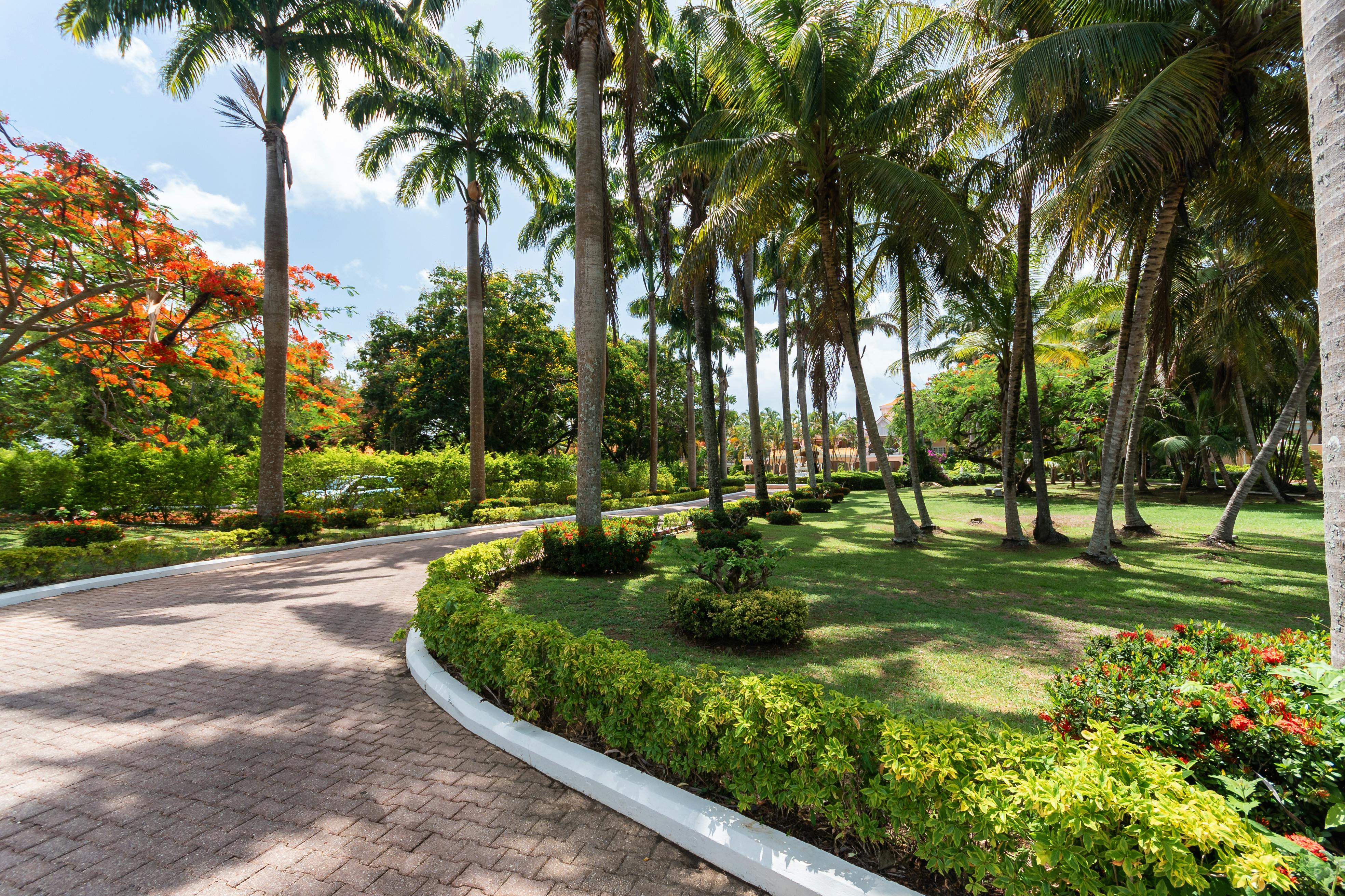 Travel Insurance for Trinidad in Trinidad