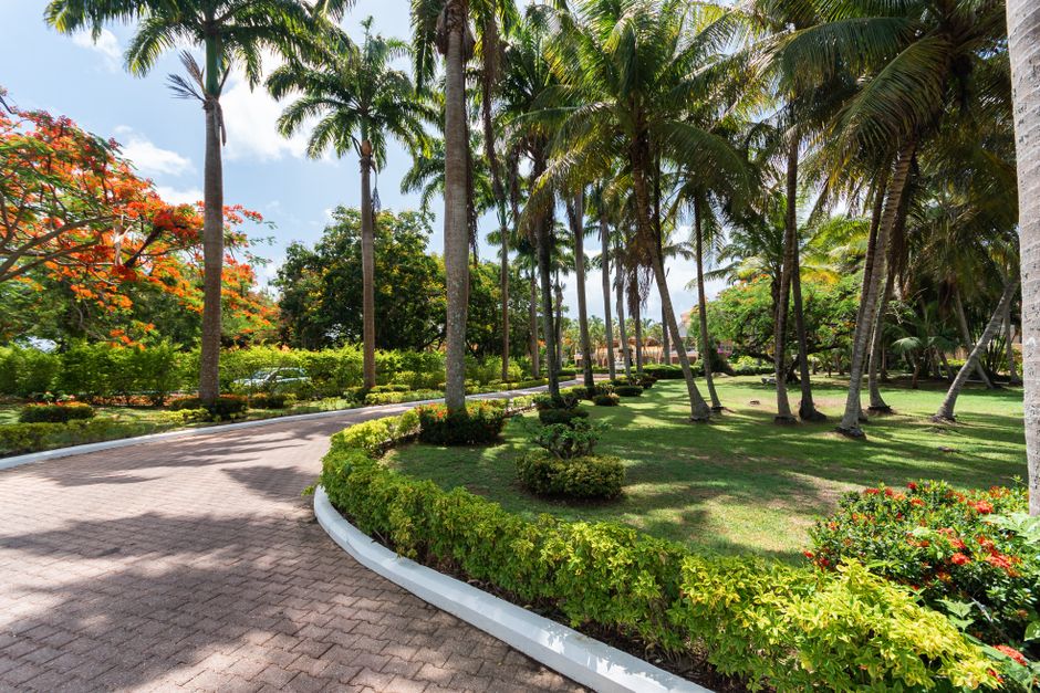 Quel visa choisir pour vivre en Trinité-et-Tobago ?