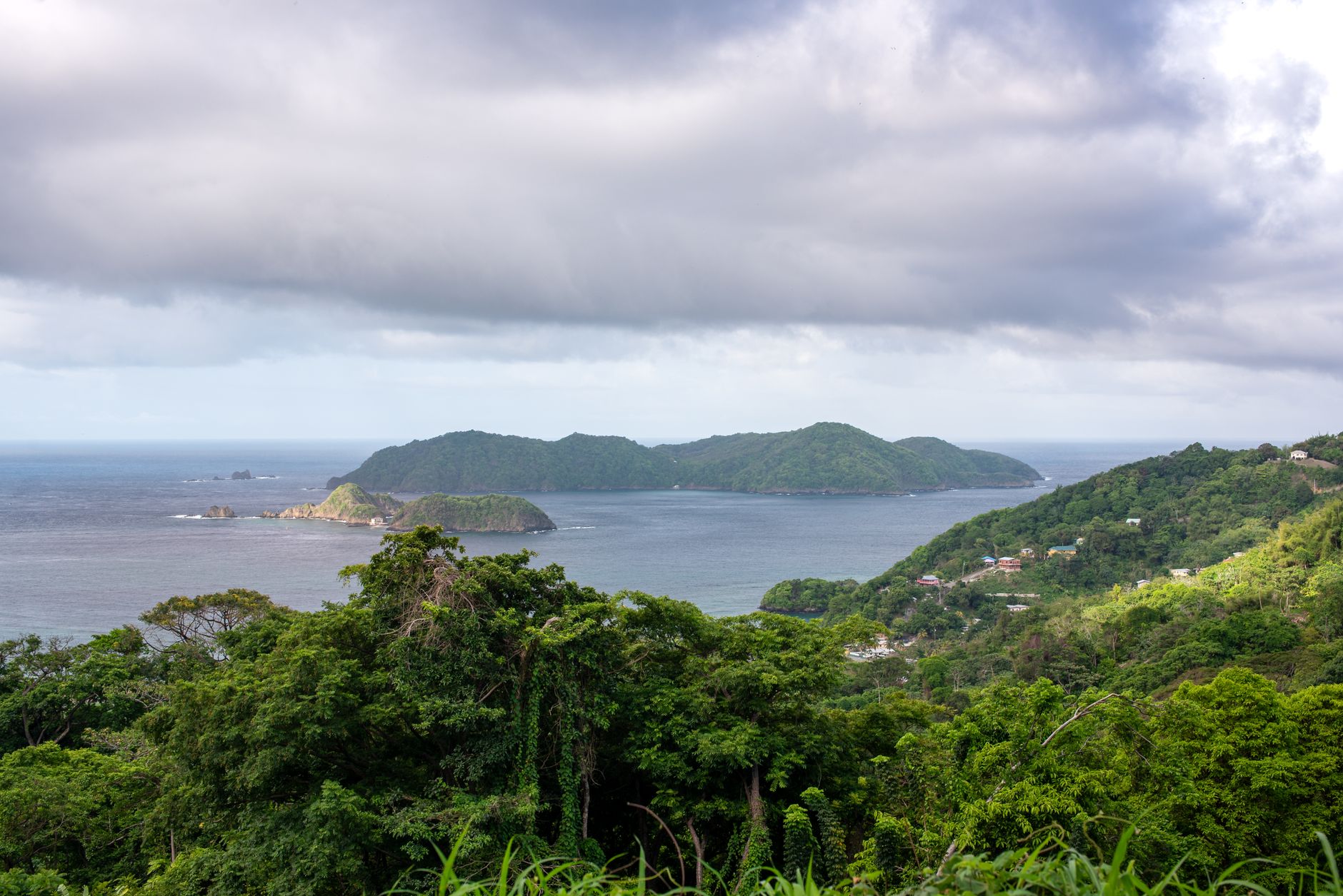 Discover the lush green landscape and stunning ocean view of Tobago, perfect for tropical travel inspiration.