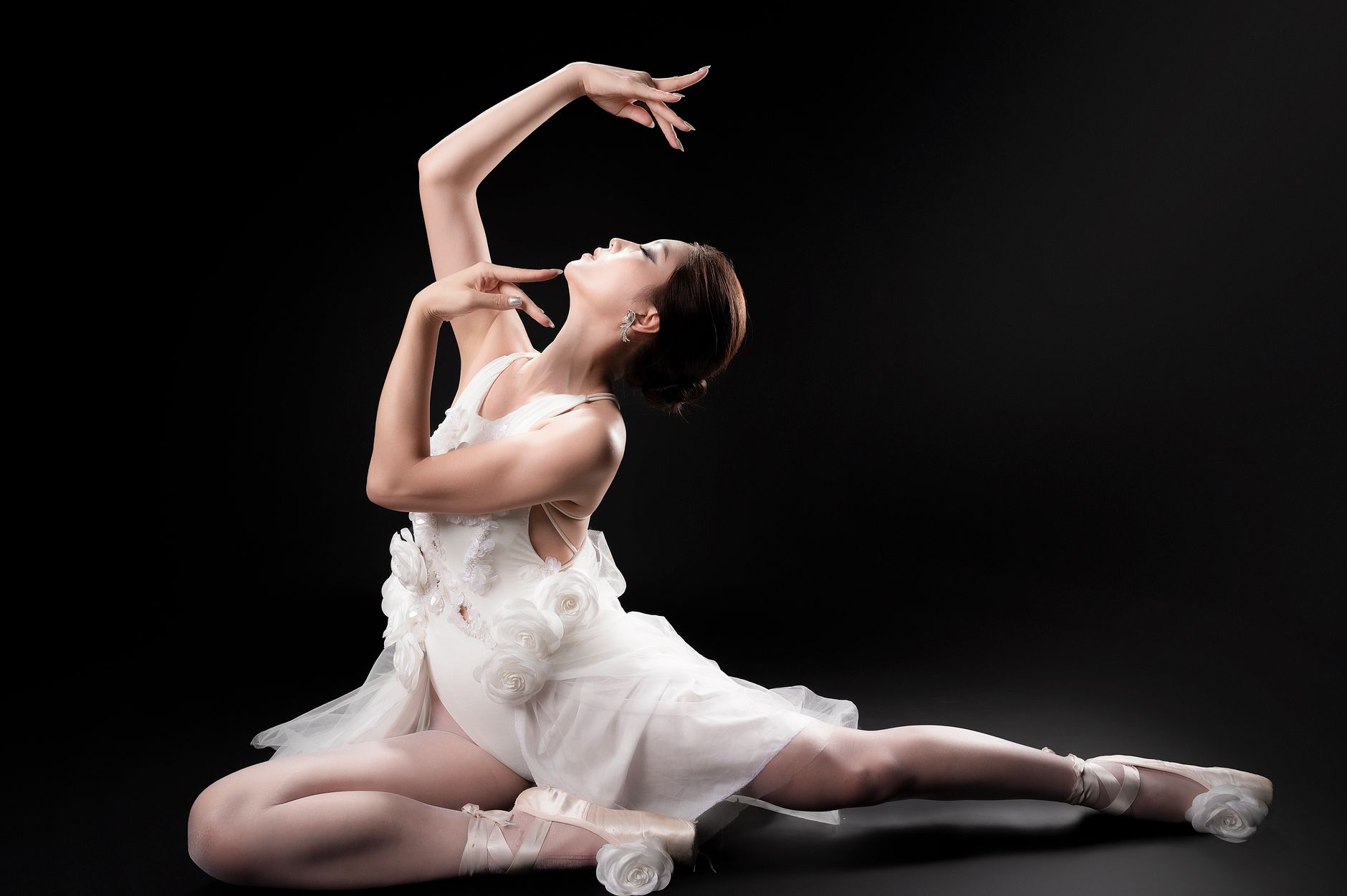 Ballett "Schwanensee"