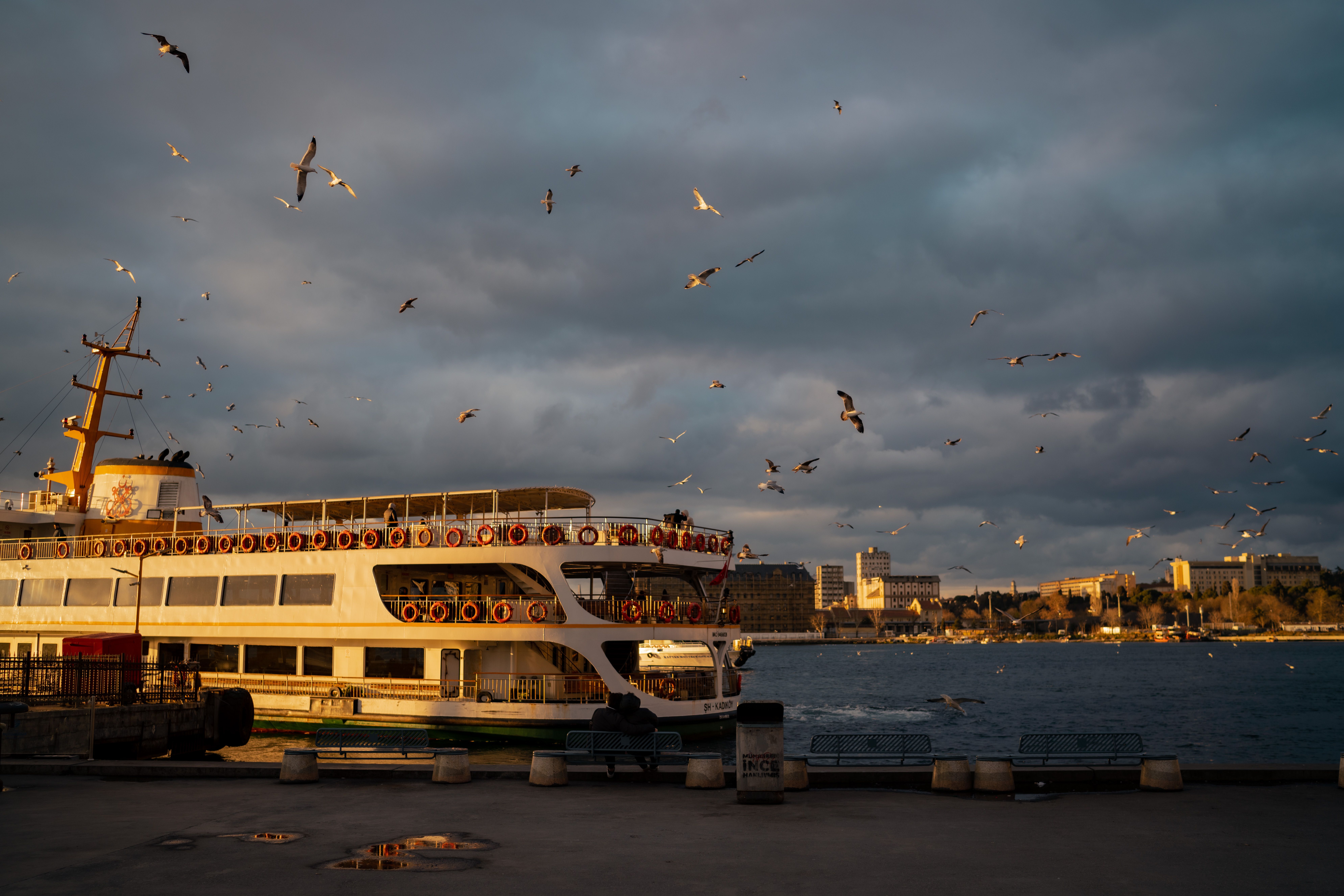 Ferry surrounded by seagulls during sunset on the Bosphorus with a city skyline in view.