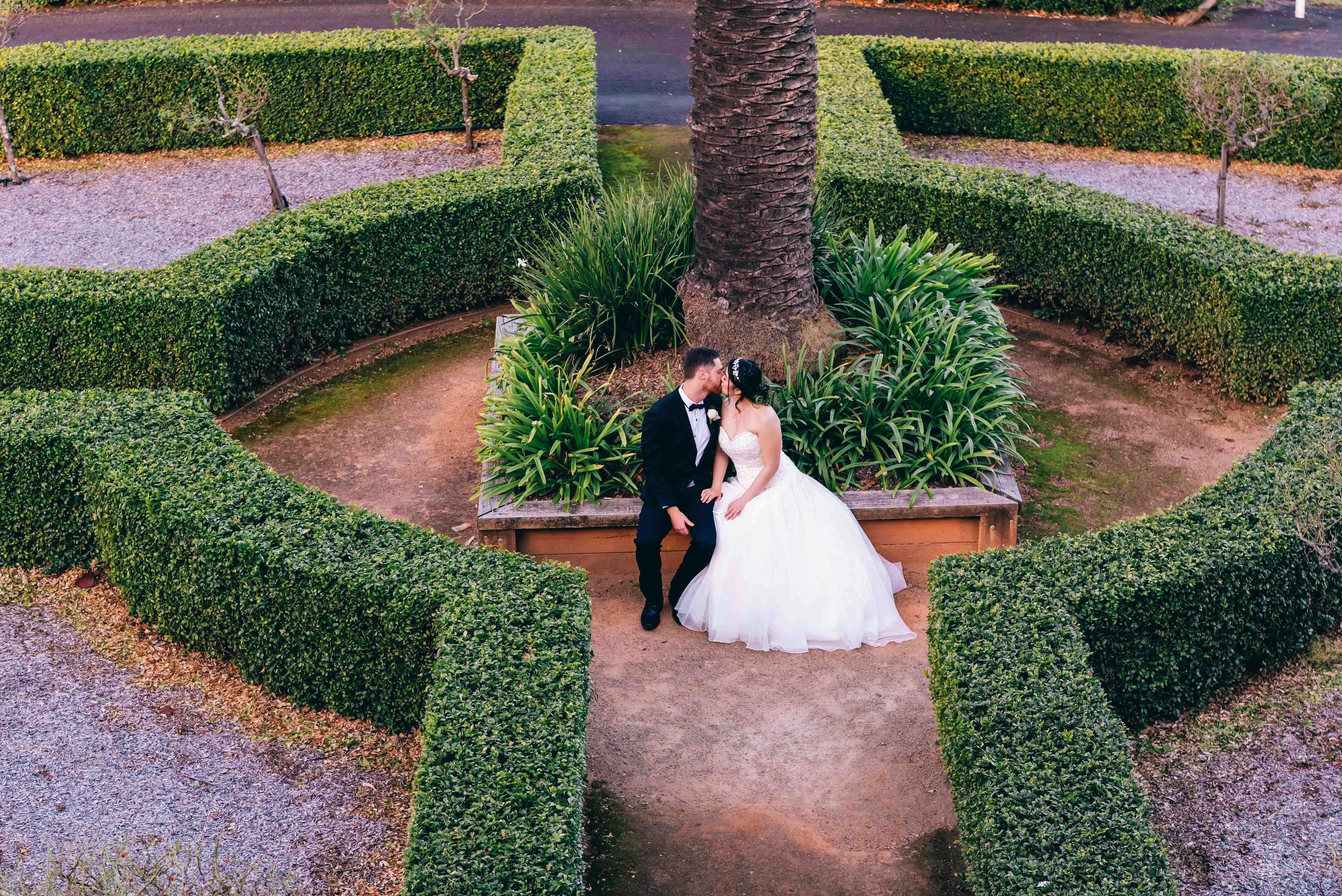 在风景如画的花园里，新娘和新郎在郁郁葱葱的绿植环绕中亲吻