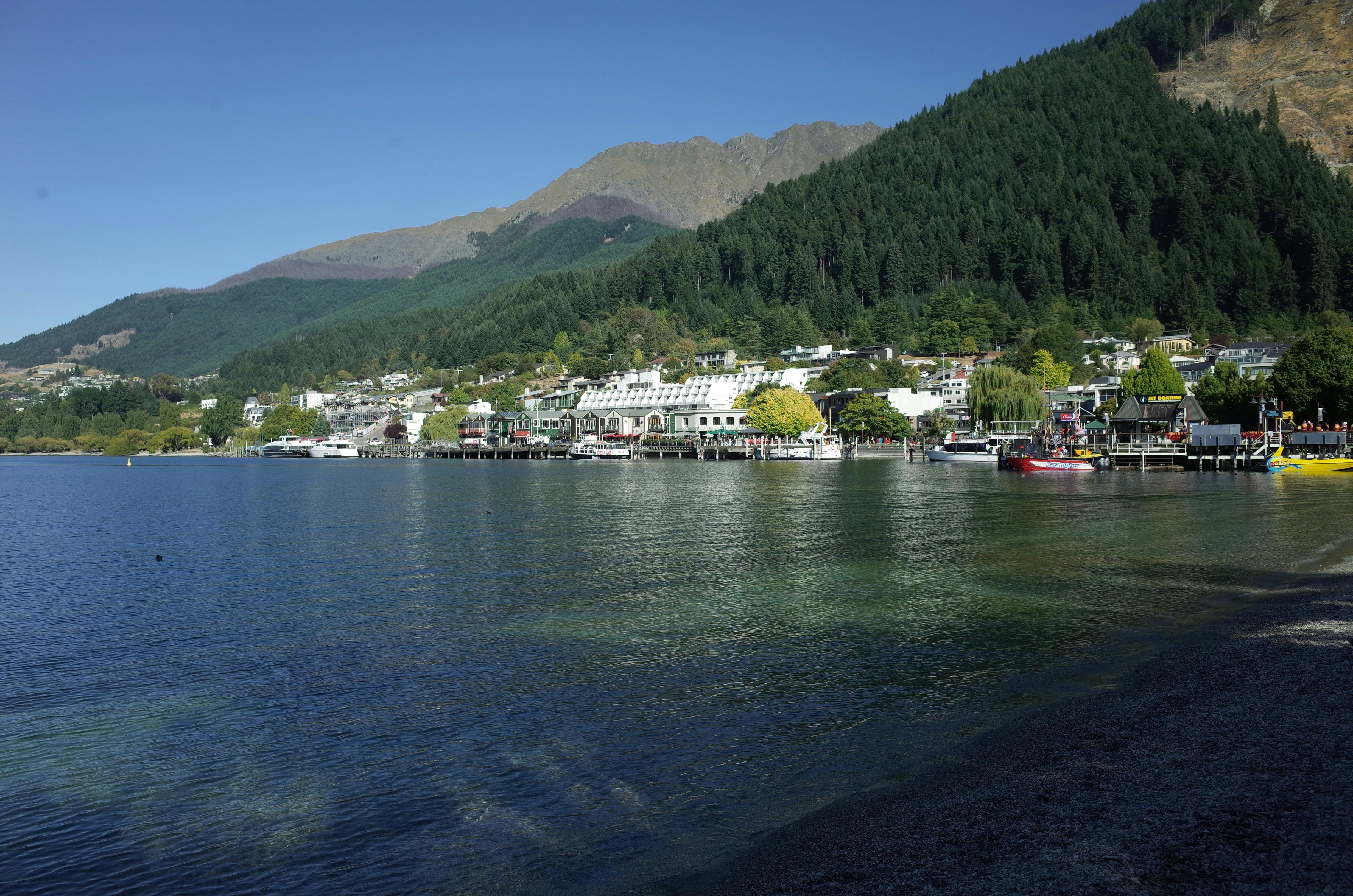 General Travel New Zealand hosts five-city roadshow in India — Photo by mingche lee on Pexels