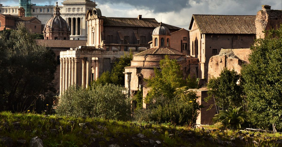 Serene Cat Overlooking Ancient Rome Architecture · Free Stock Photo