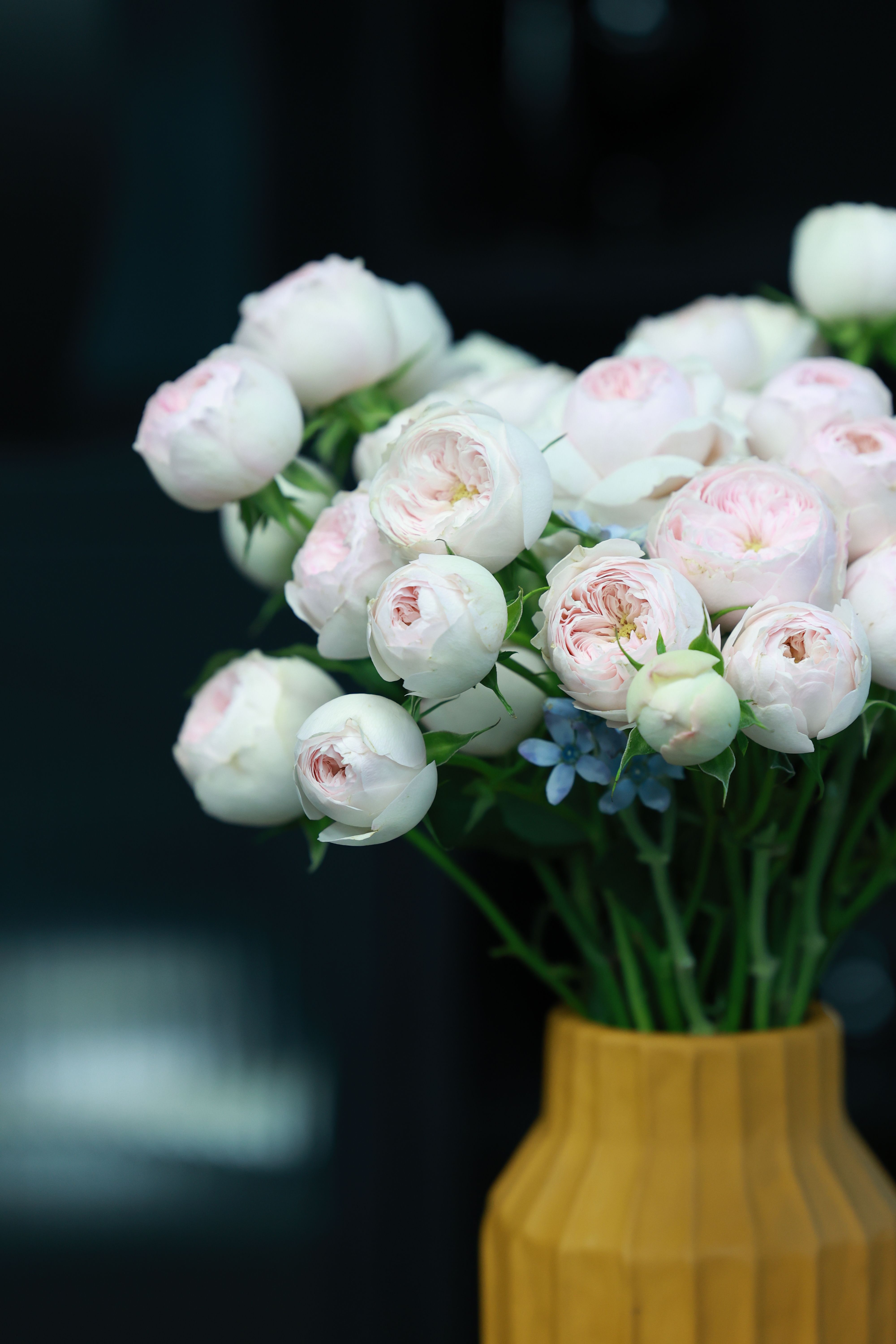 Beautiful pink peonies arranged in a stylish wooden vase with a dark background.