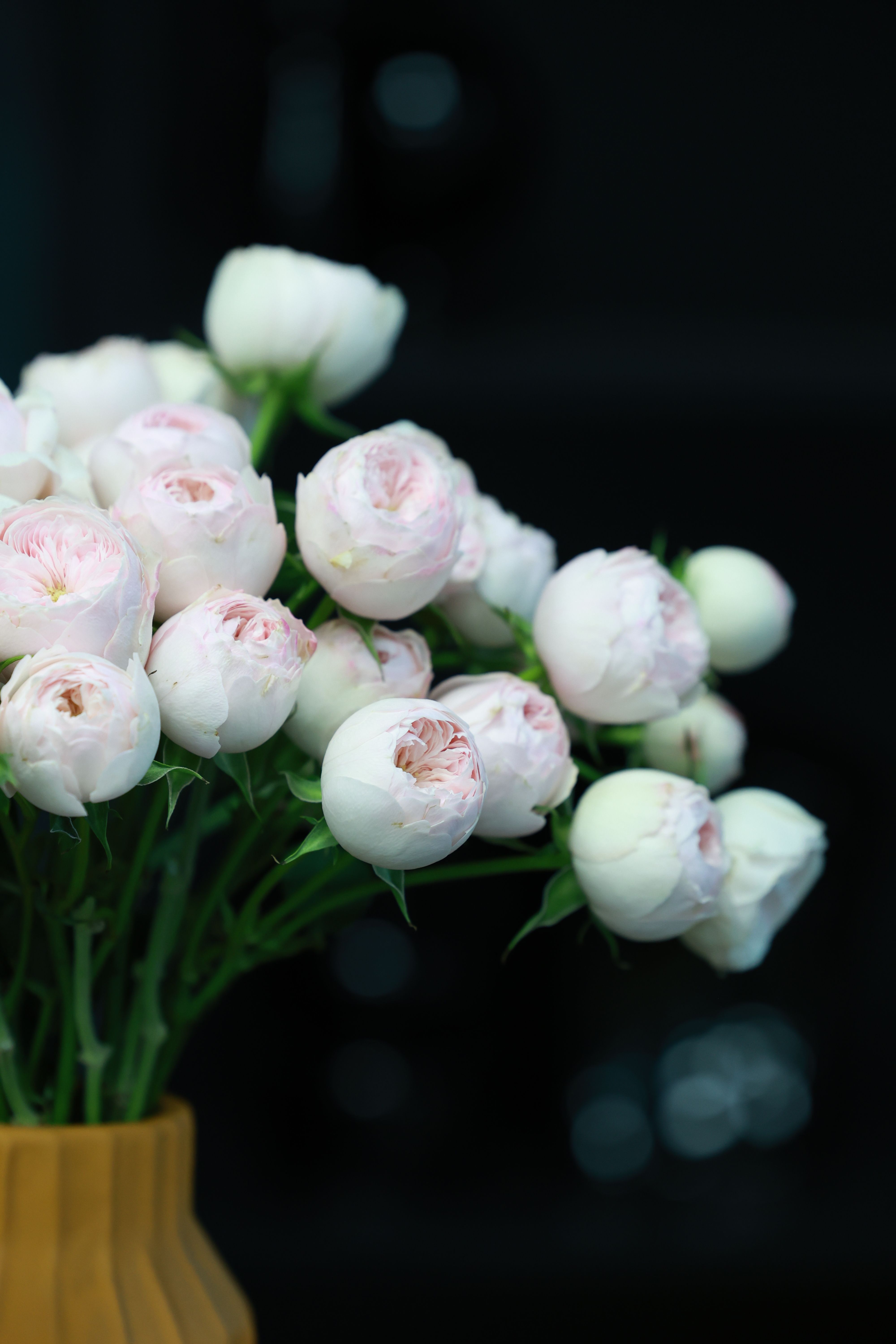 Elegant bouquet of white peonies in a terracotta vase, soft lighting.