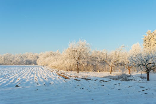 Image by Nikodem Przymęski