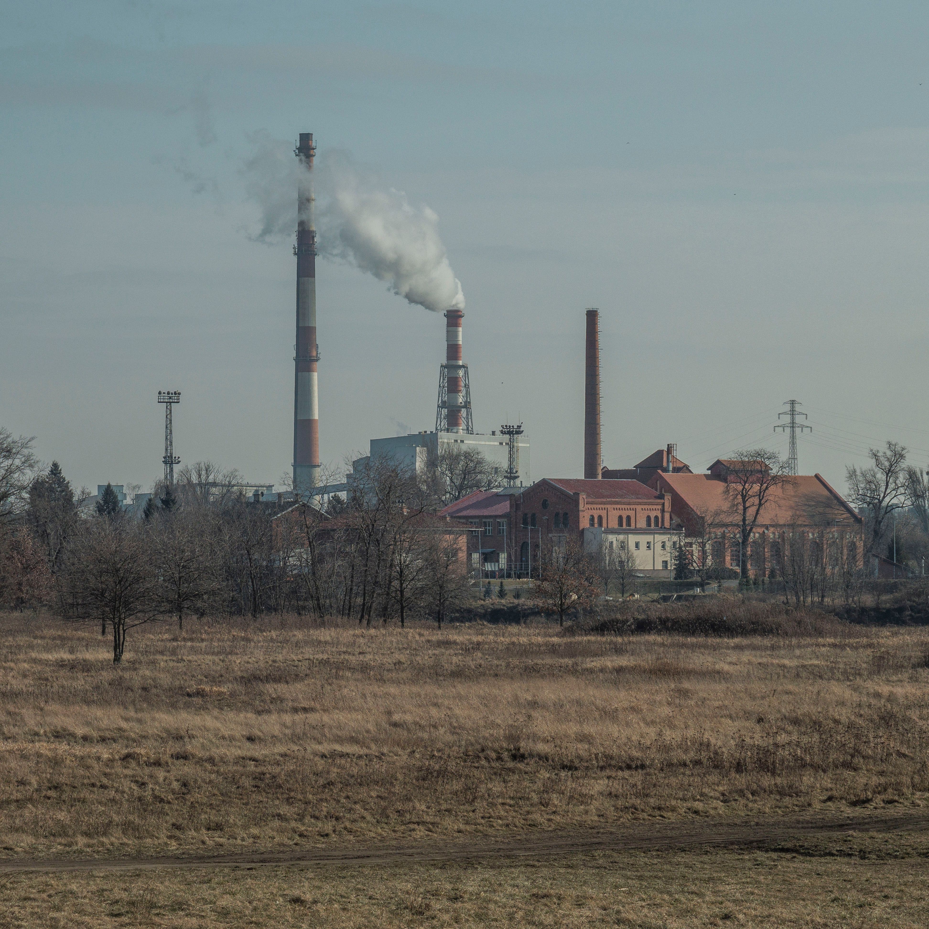 Zrównoważony rozwój w biznesie – co to oznacza dla lokalnych przedsiębiorstw?