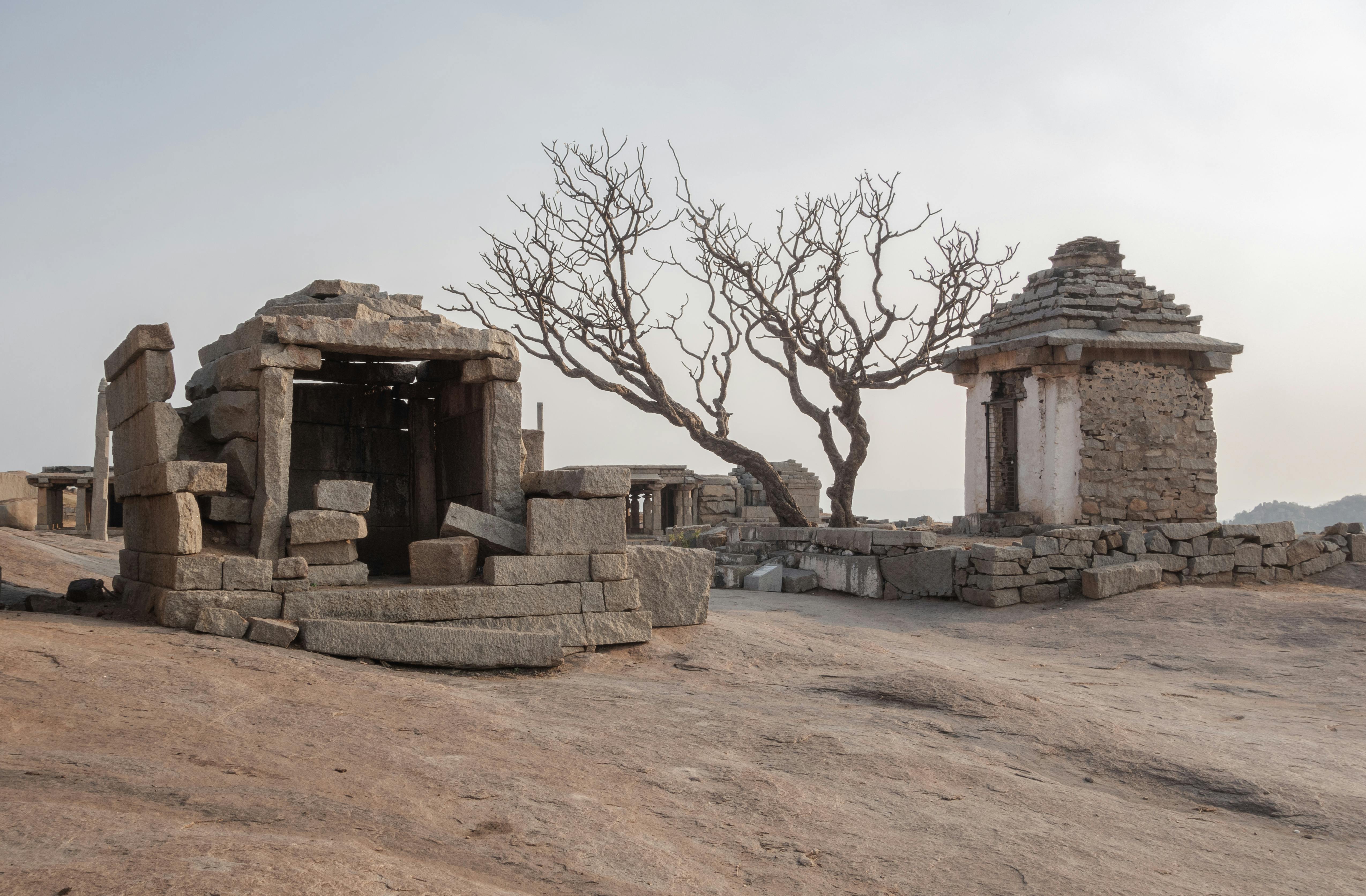 Ancient stone ruins in Hampi, India, with a leafless tree against a bright sky.