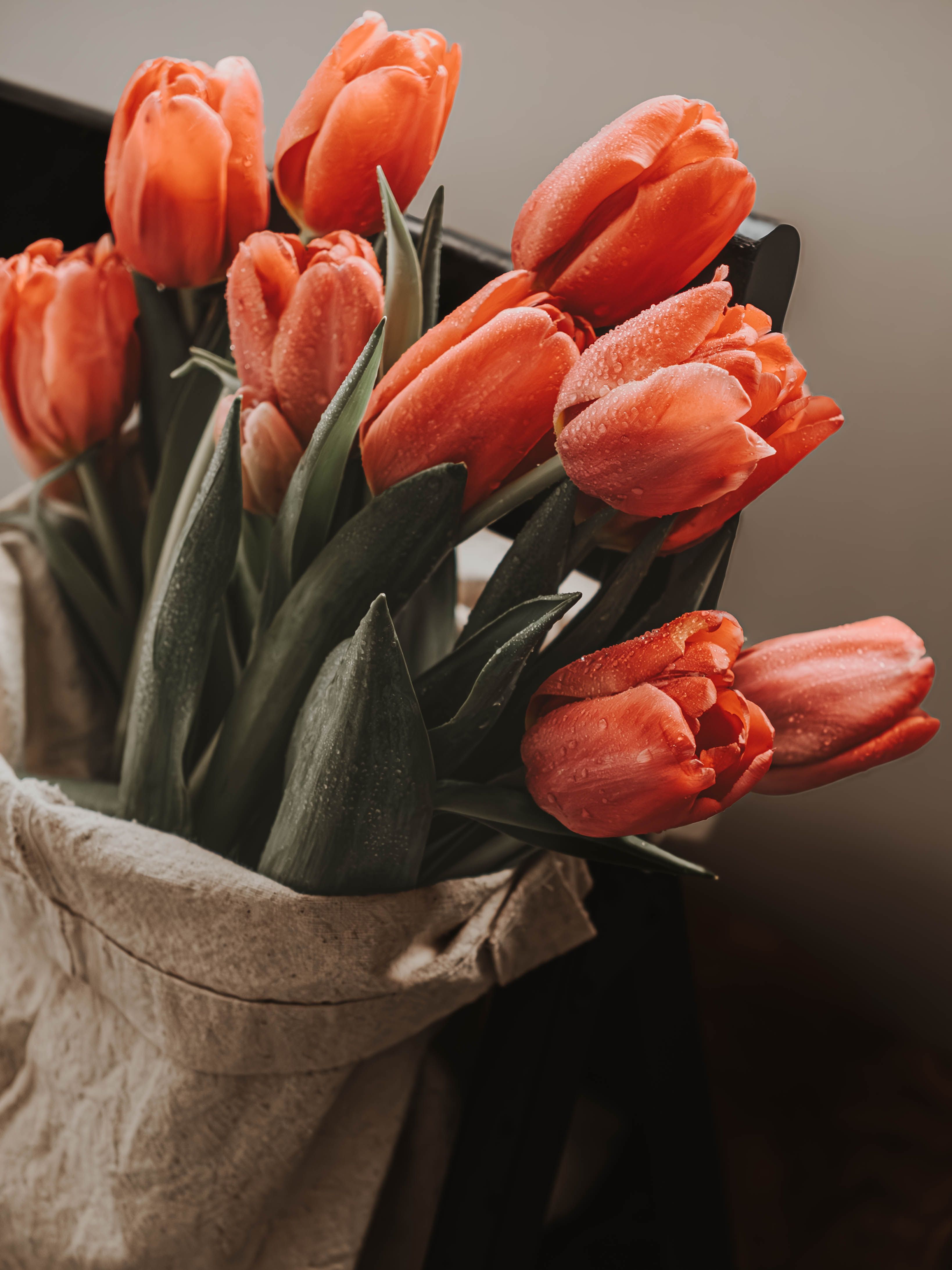 Zadarmo Krásna kytica červených tulipánov vystavená s teplým nádychom v prirodzenom svetle. Fotka z fotobanky