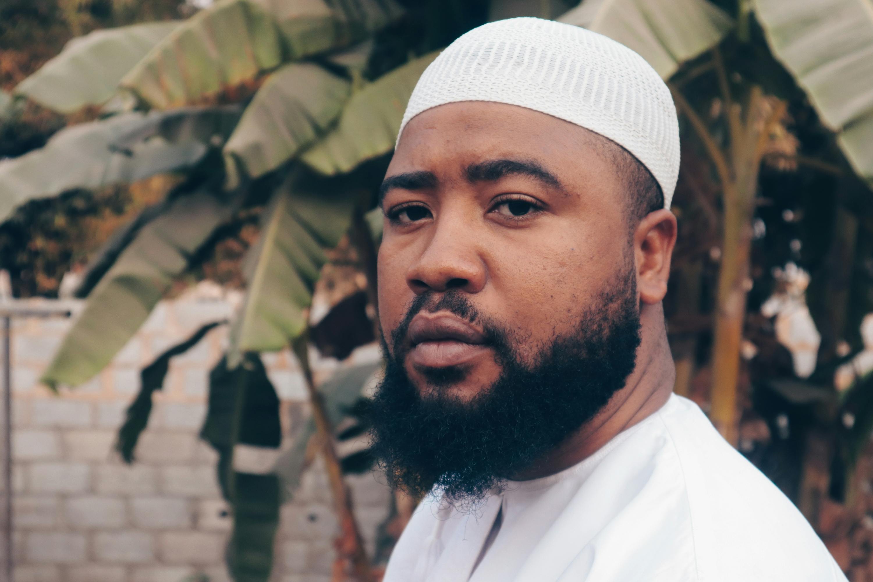 Habib Bellaid