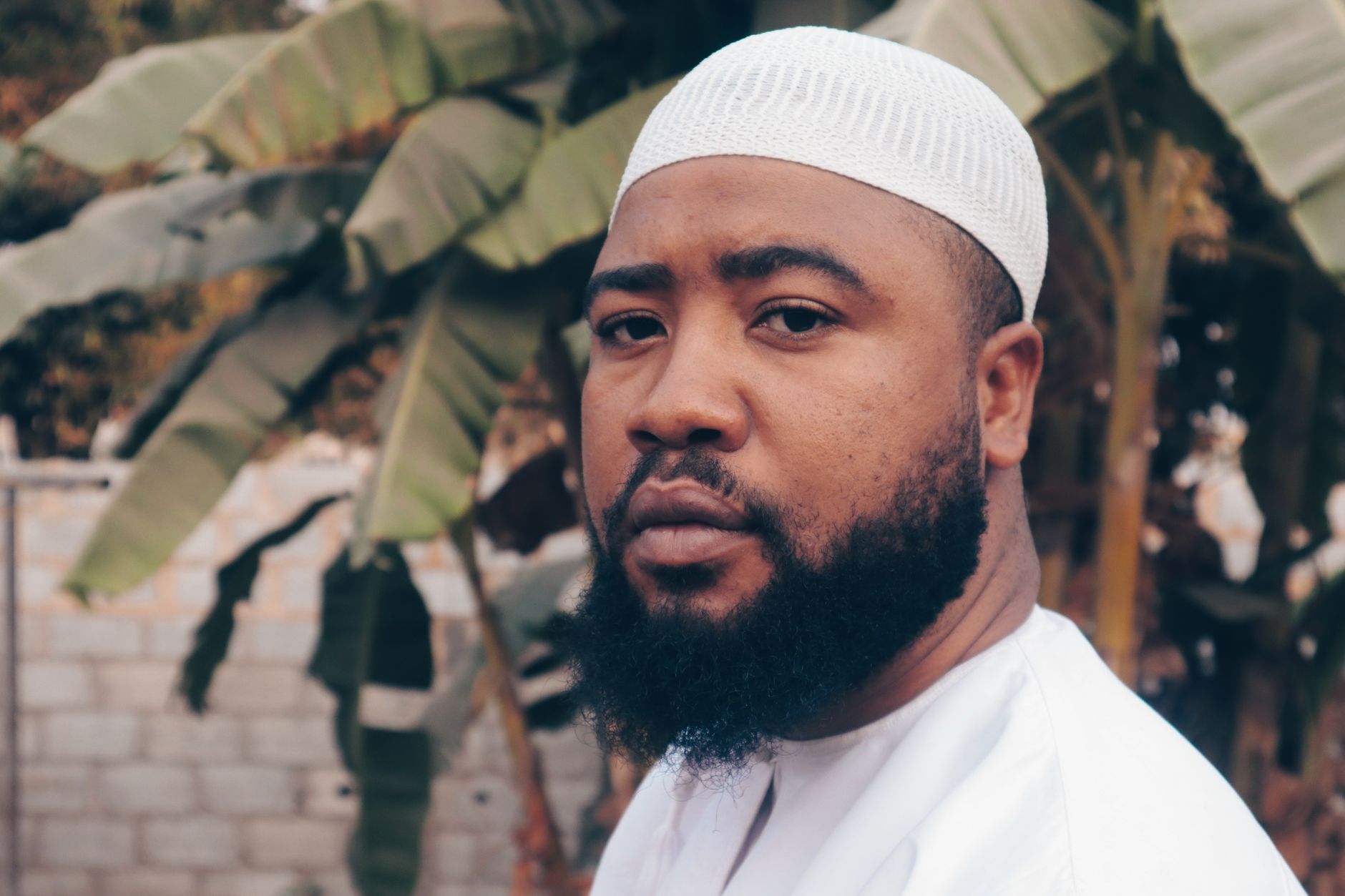 Habib Bellaid