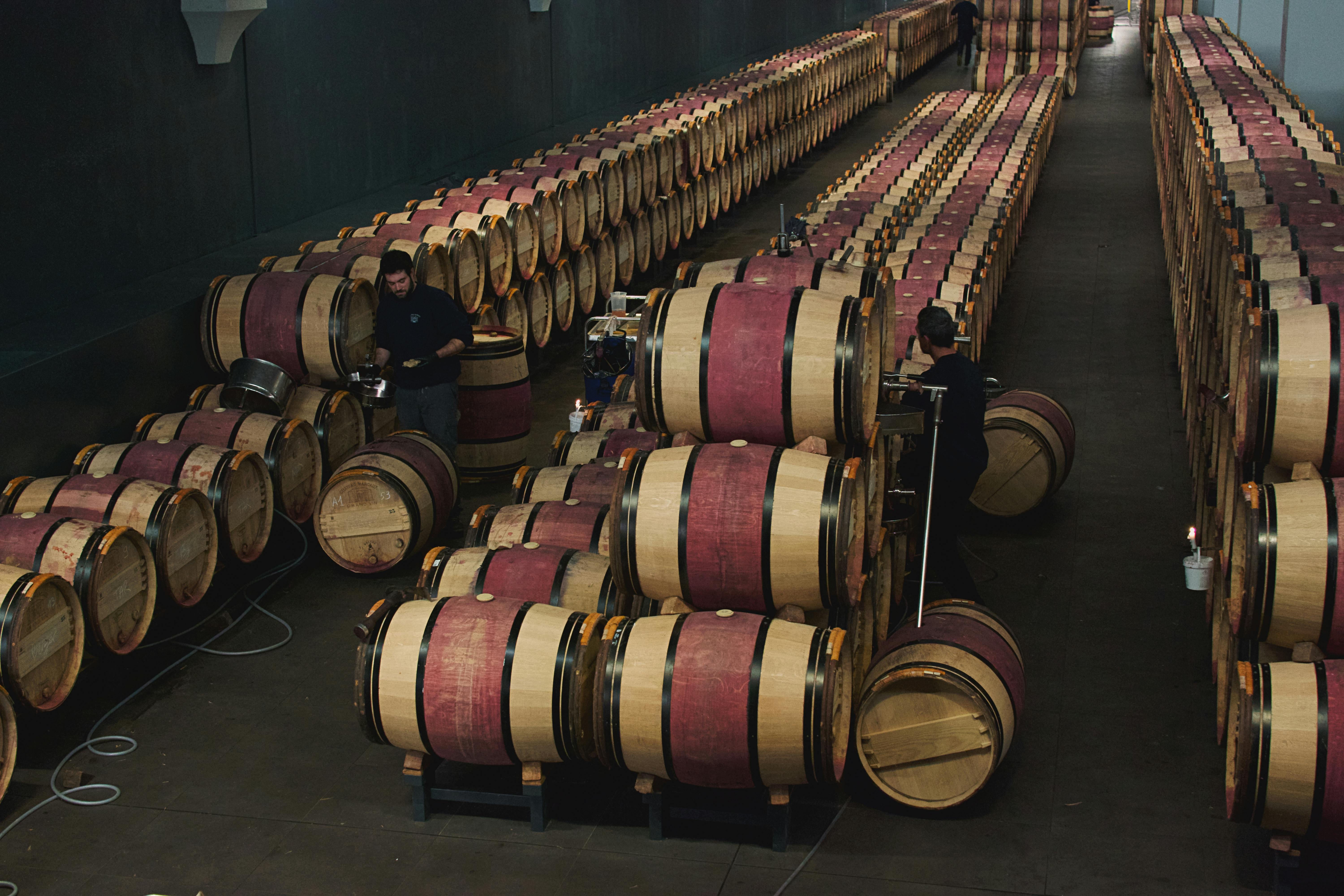 Vue aérienne d'une cave à vin