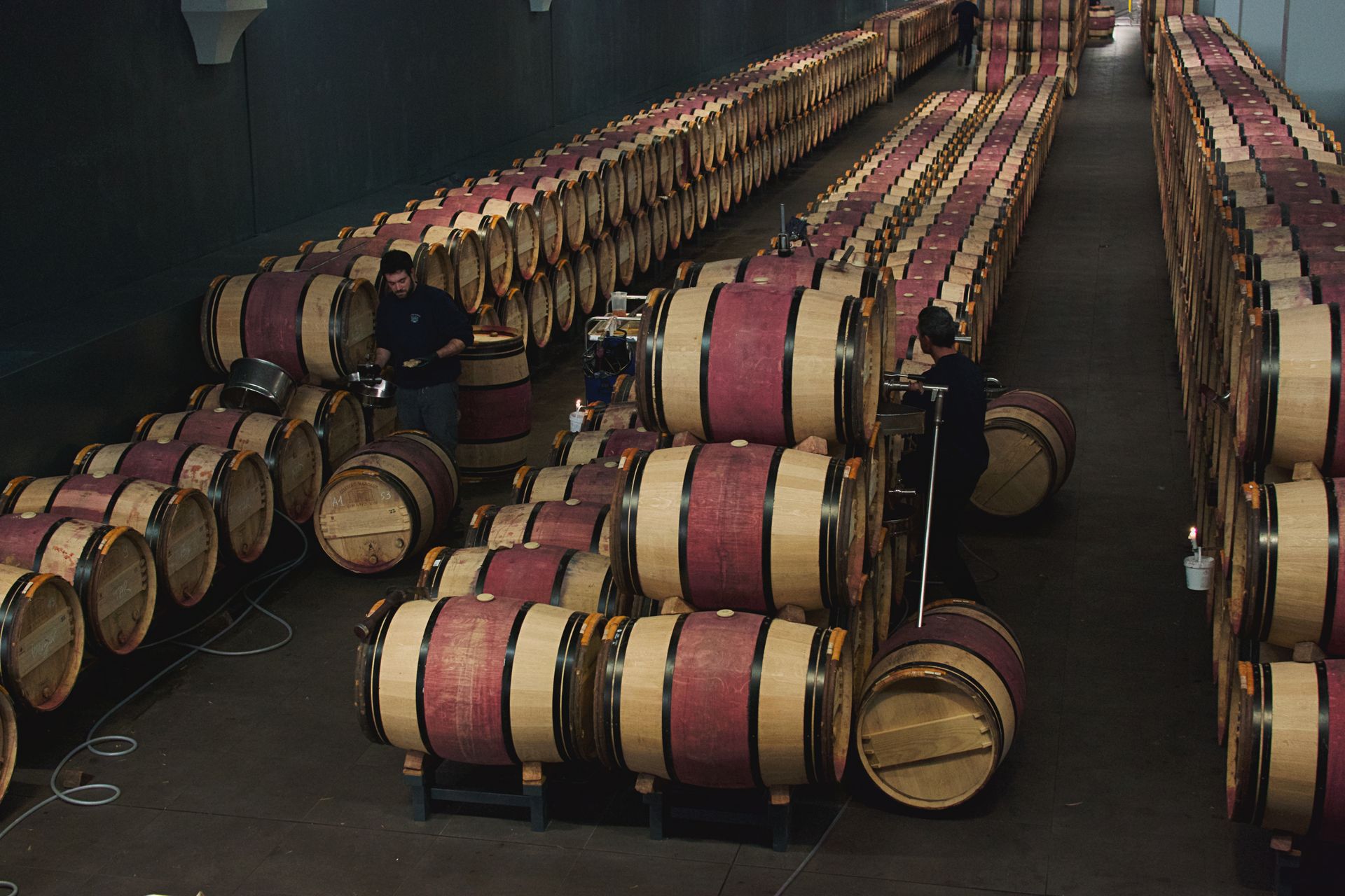 Oak barrels lining the estate cellar