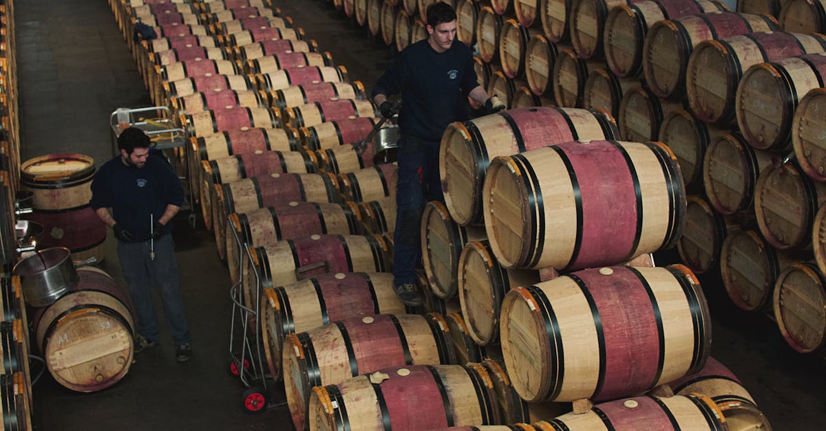 Découverte des fermes vinicoles en France