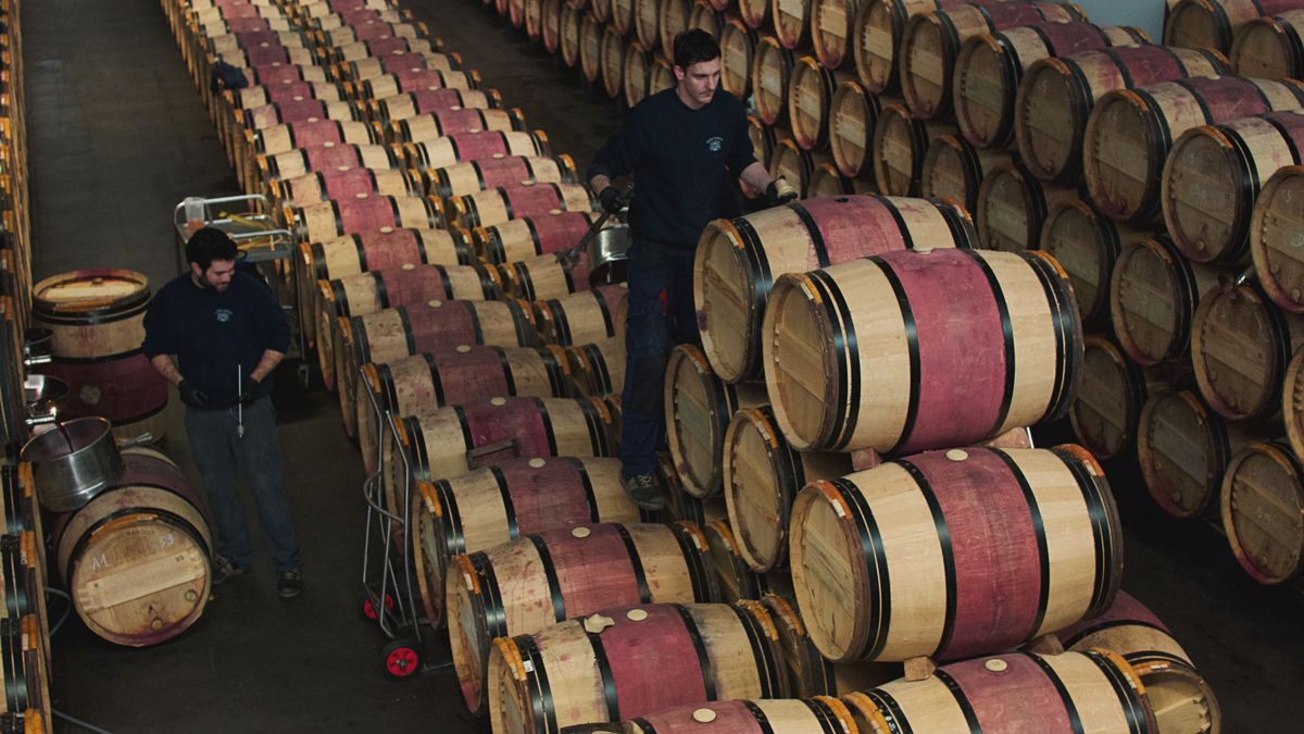 Les AOC de Bordeaux : redécouverte des cépages peu connus