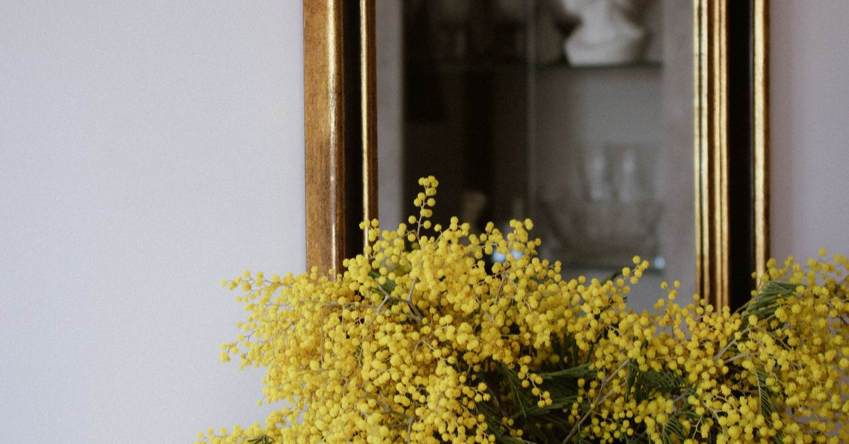 Elegant Interior with Yellow Mimosa Bouquet · Free Stock Photo