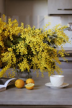 Vibrant yellow mimosa flowers in a vase with fresh lemons and teacup on the table.