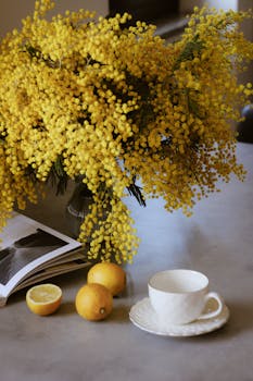 Bright yellow mimosa flowers and fresh lemons on a rustic table with a teacup.