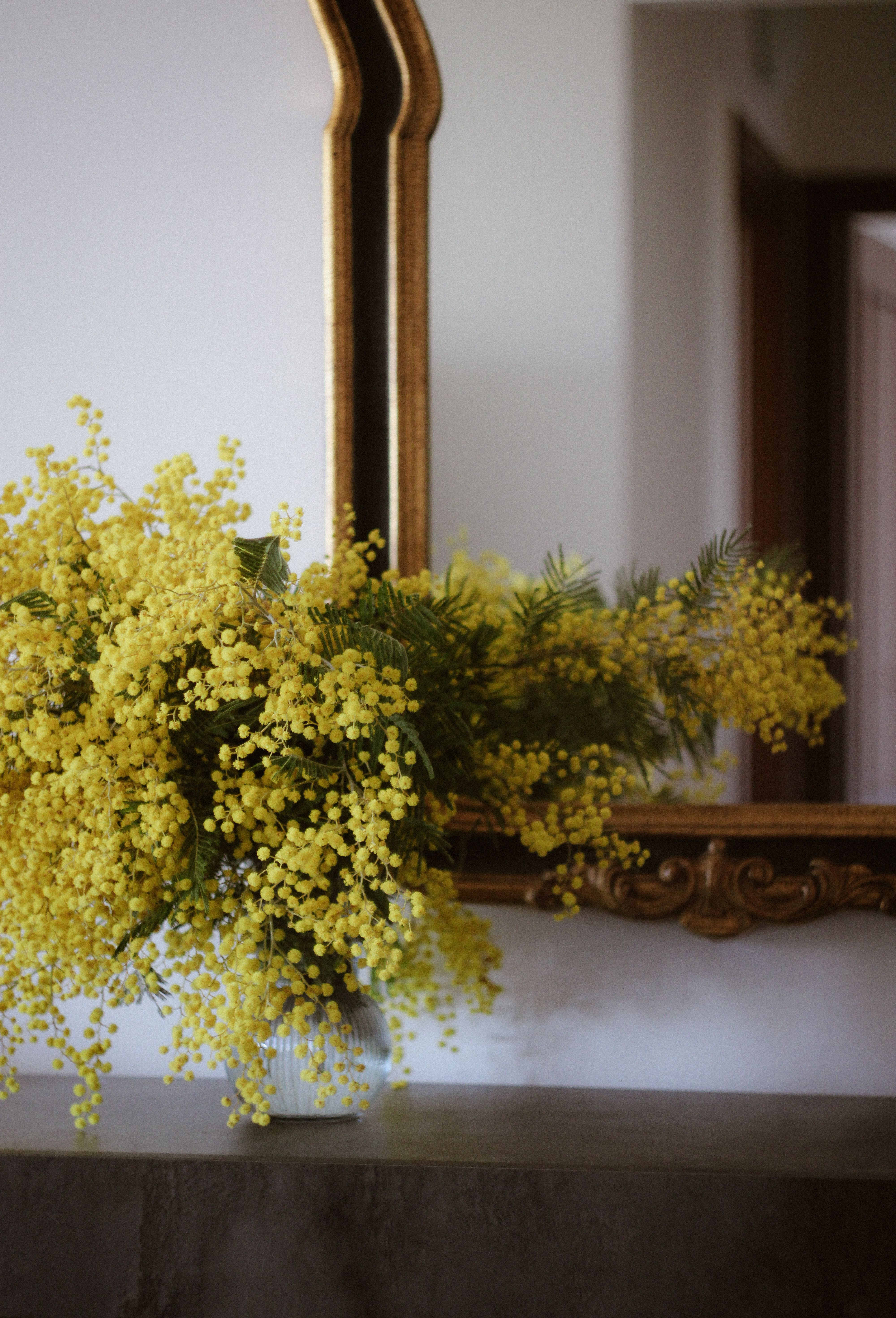 Elegant Interior with Yellow Mimosa Bouquet · Free Stock Photo