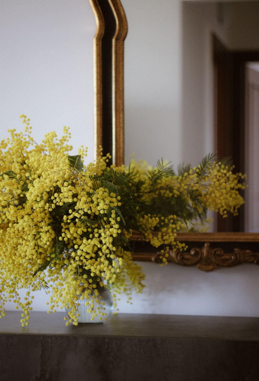 Elegant Interior with Yellow Mimosa Bouquet · Free Stock Photo