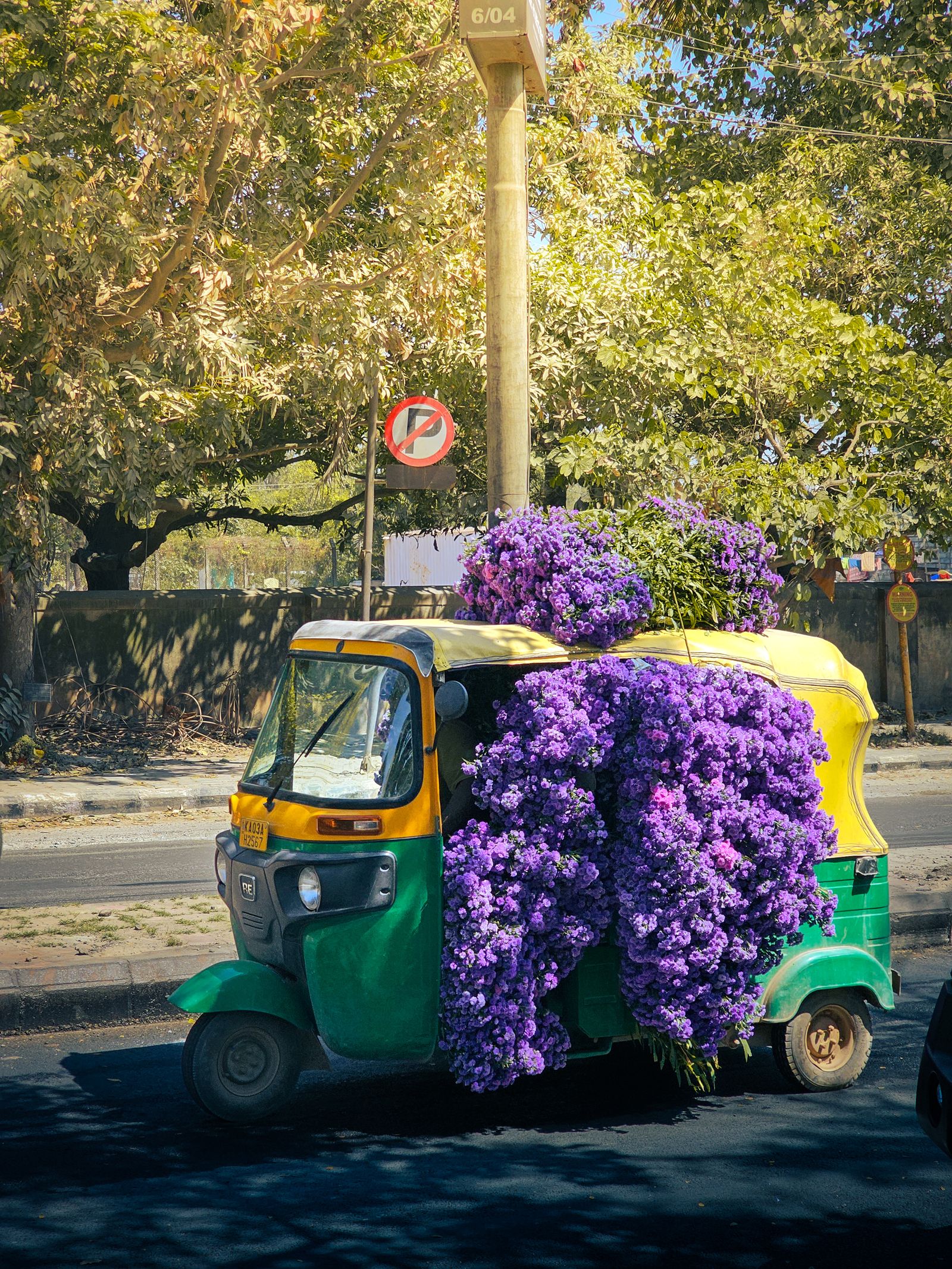 Bangalore auto-rickshaw loaded with purple flowers on a city street