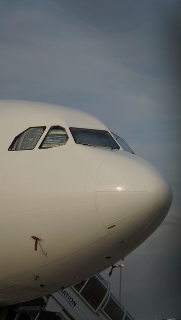 A close-up view of an airplane's nose on the tarmac under a clear sky, showcasing the cockpit windows.
