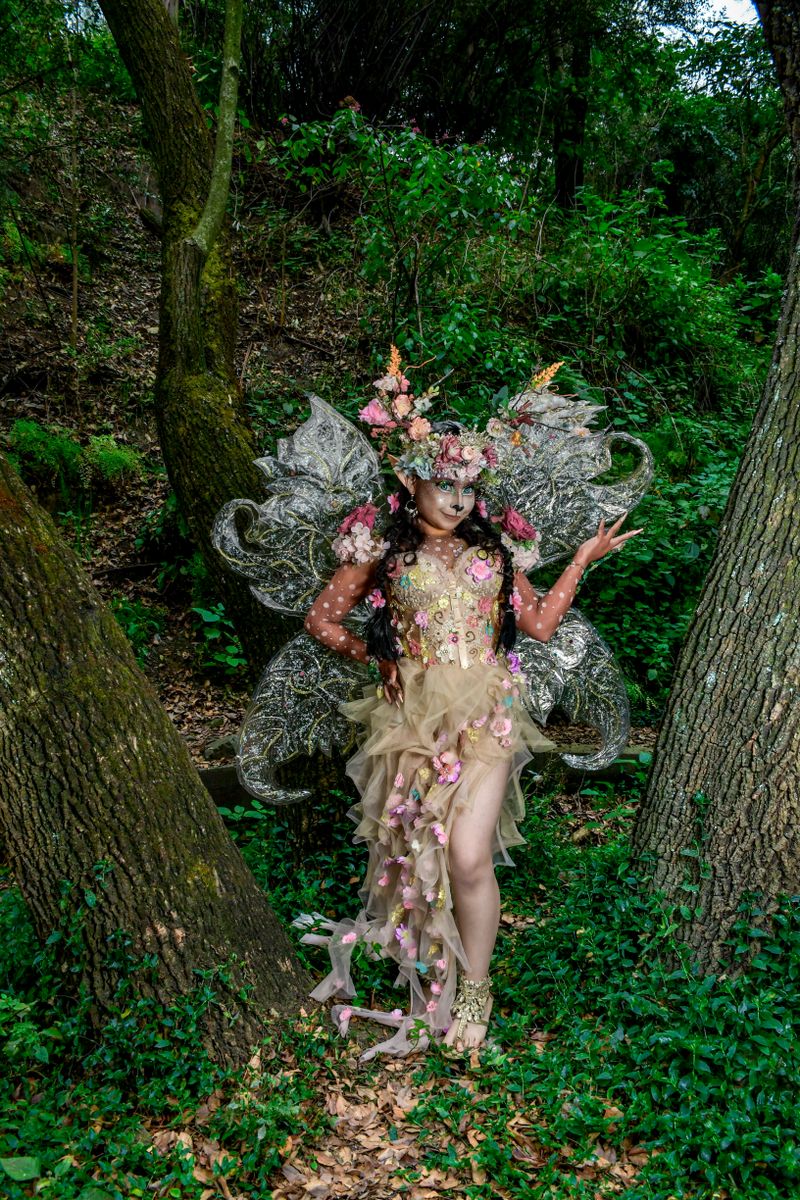 Fantasy Fairy in Enchanted Forest Setting · Free Stock Photo