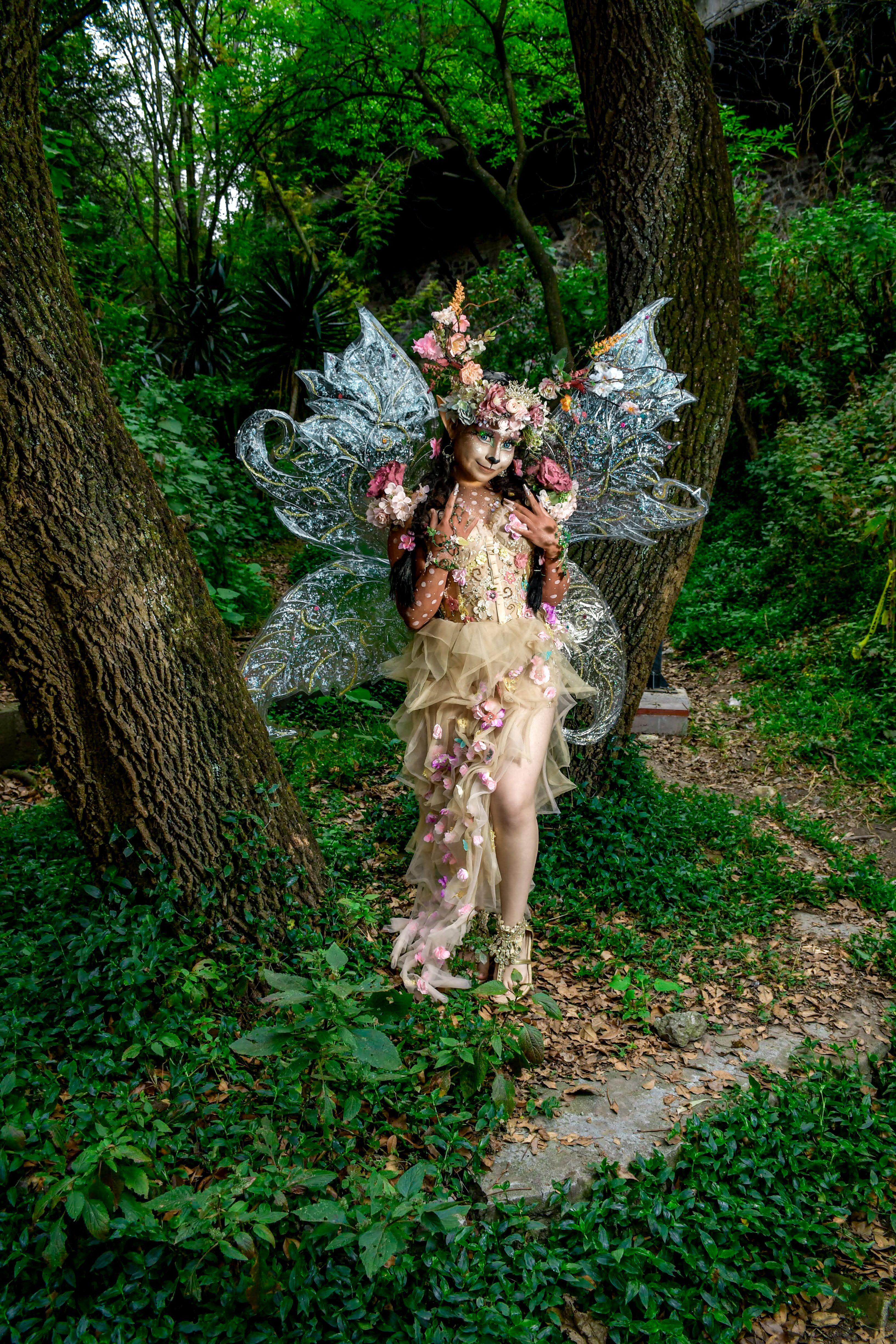 Enchanting Fairy in Mystical Forest Setting · Free Stock Photo