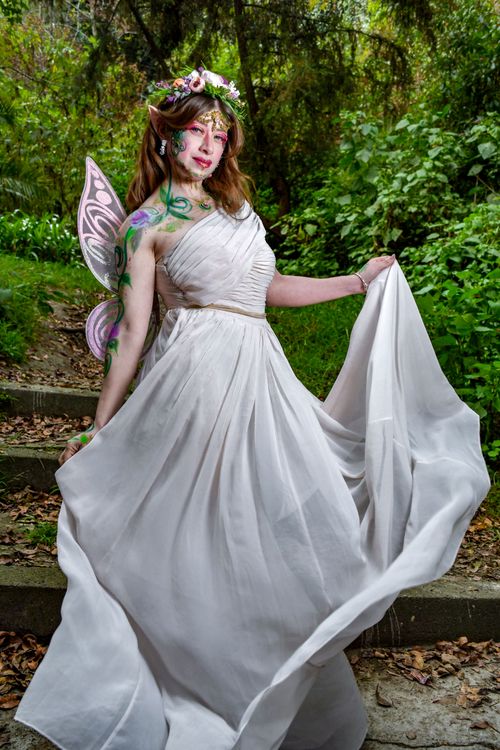 Enchanted Forest Fairy in Elegant Dress Free Stock Photo Enchanted Forest Fairy in Elegant Dress Free Stock Photo