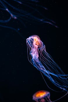 A mesmerizing jellyfish with glowing tentacles gracefully swimming in the dark ocean depths.