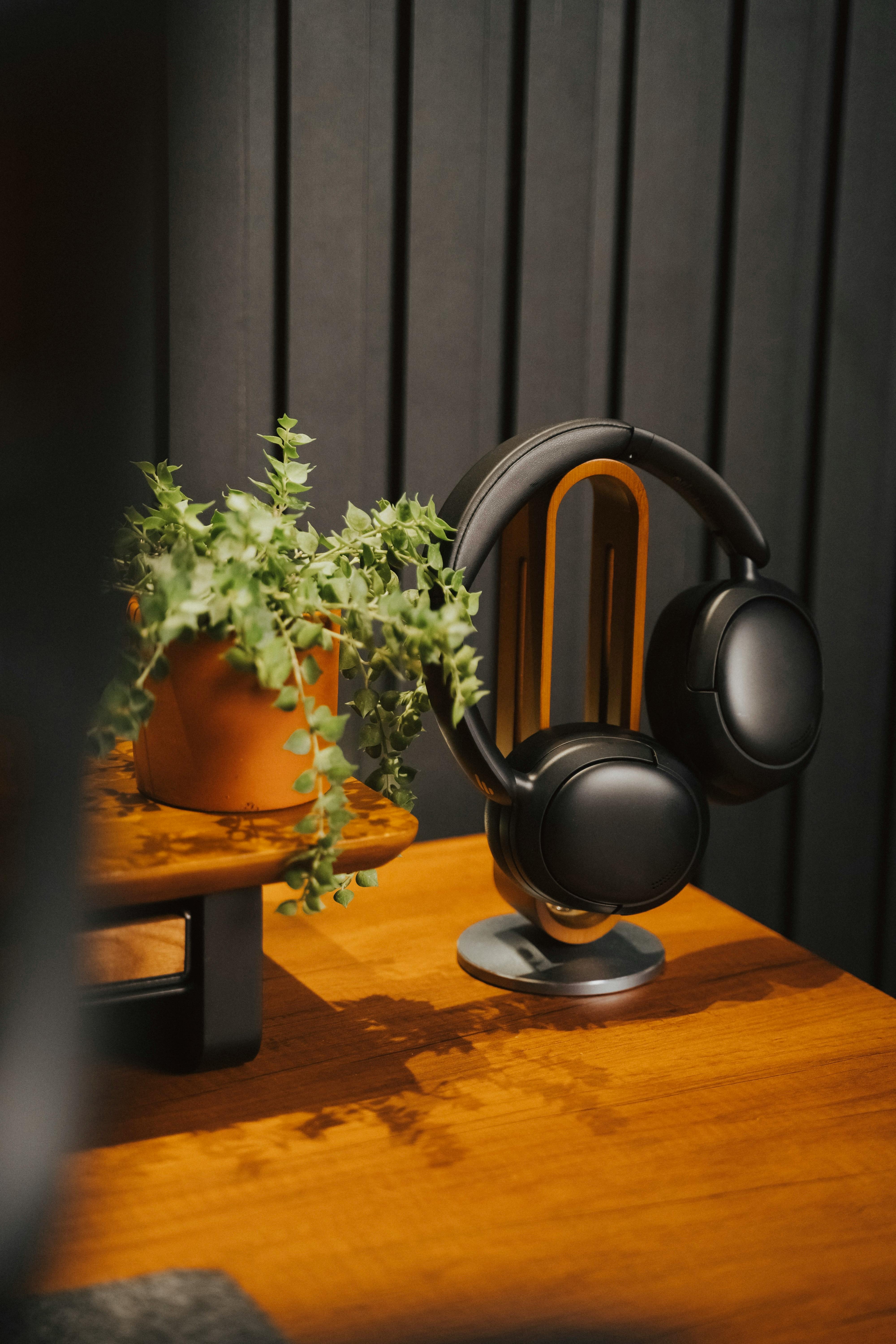 grátis Fones de ouvido pretos elegantes em um suporte ao lado de uma planta verde em um ambiente interno aconchegante e aconchegante. Foto profissional