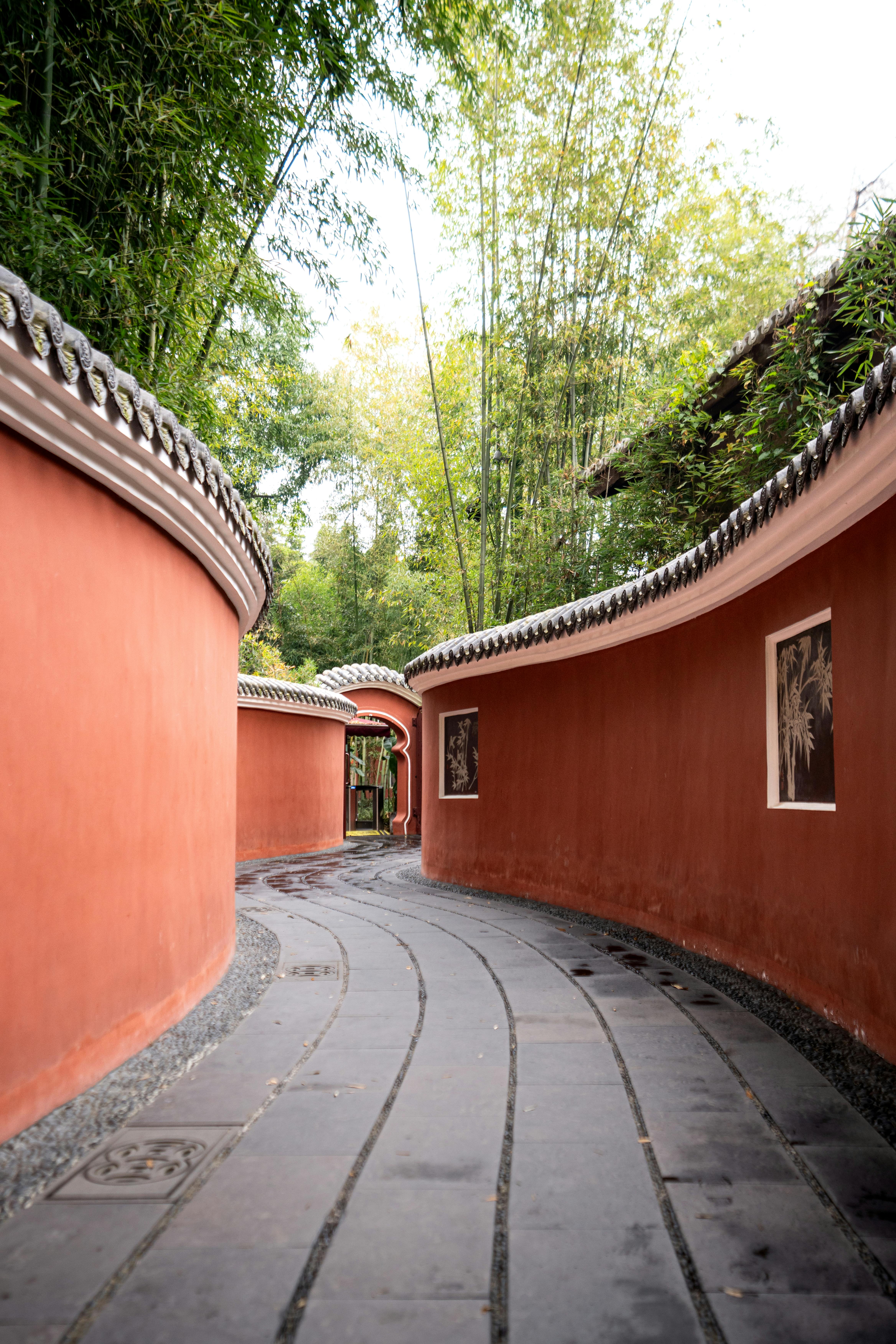 serene curved pathway in a bamboo grove