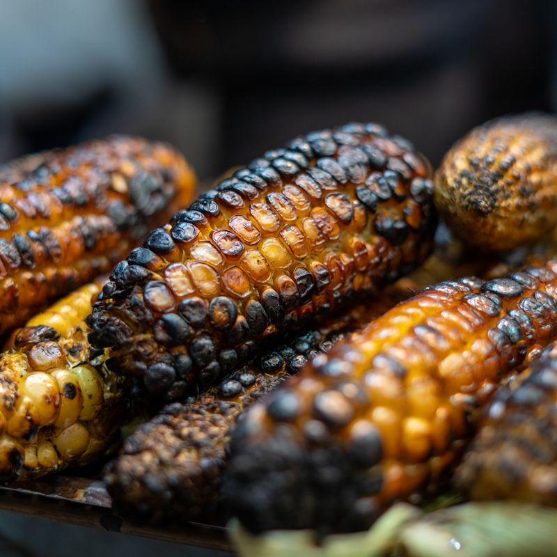Charred Guajillo and Roasted Garlic Dip