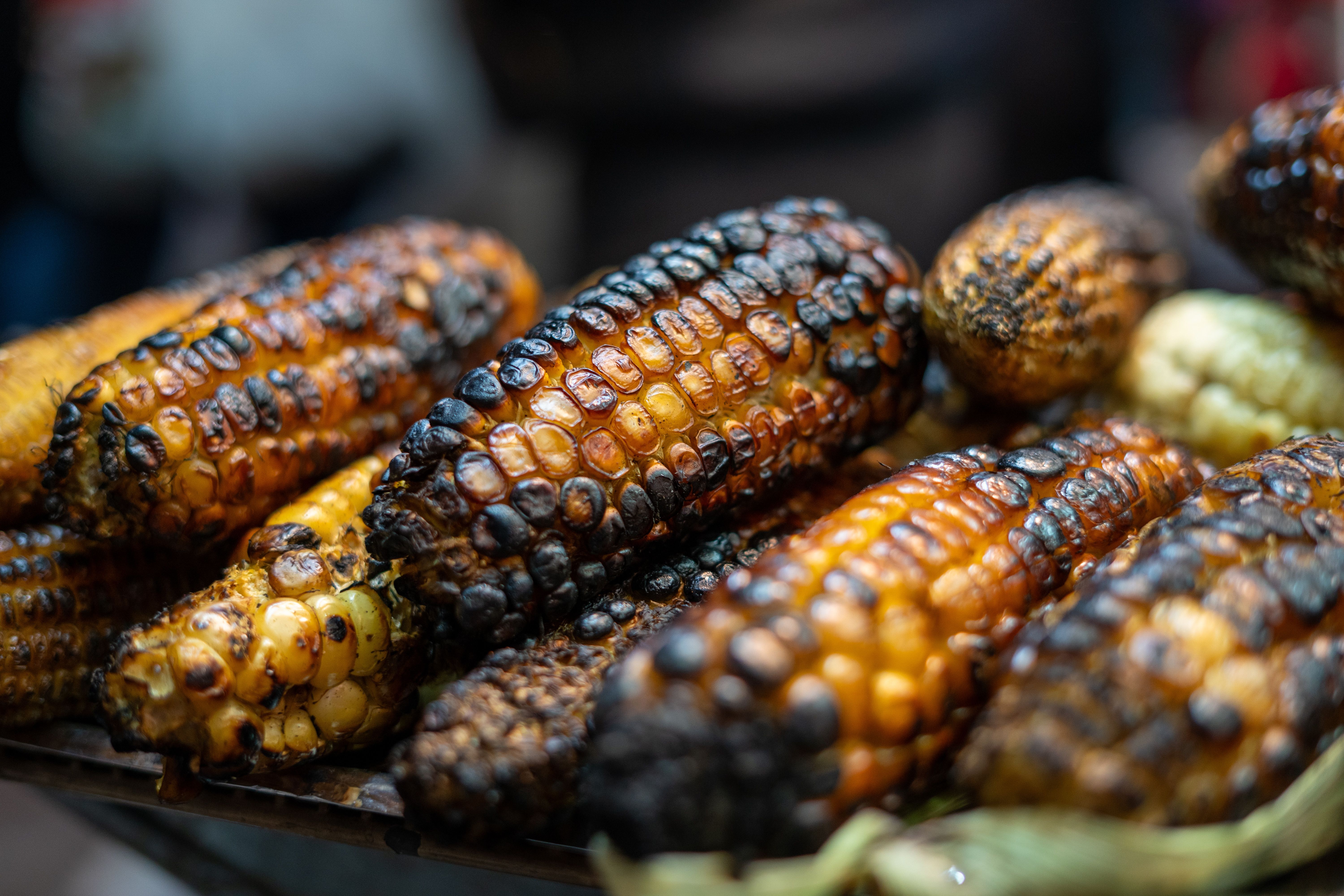 Deliciously Charred Roasted Corn Close-Up · Free Stock Photo