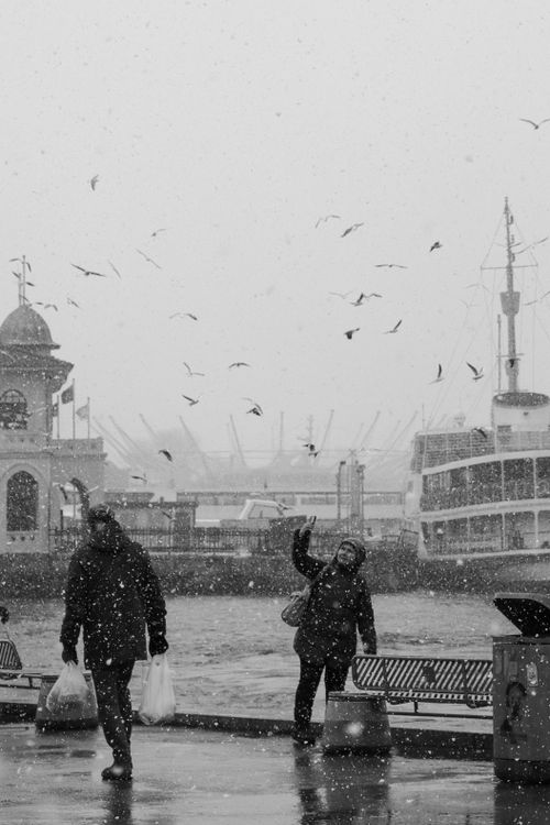 Free Black and white winter scene by a waterfront with snow, birds, and people. Stock Photo
