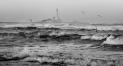 戏剧性的黑白海景，背景是海鸥和灯塔