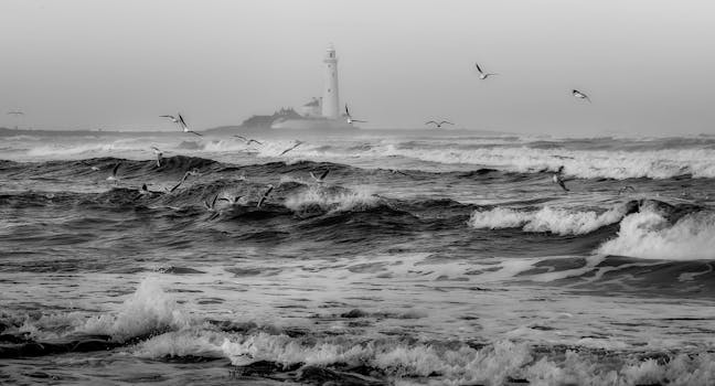 Dramatic black and white seascape with seagulls and lighthouse in the background.
