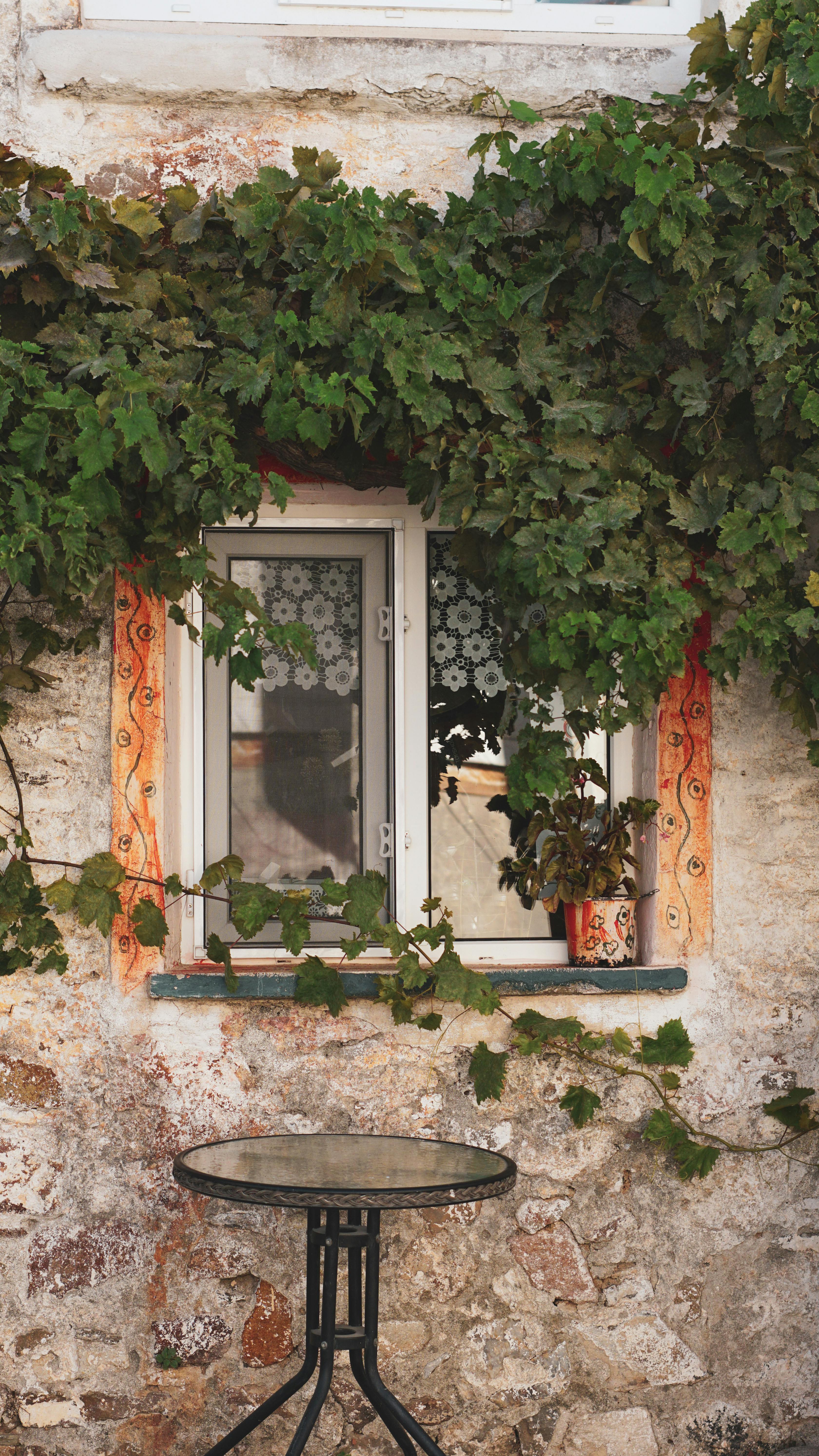 charming stone wall with ivy and antique window