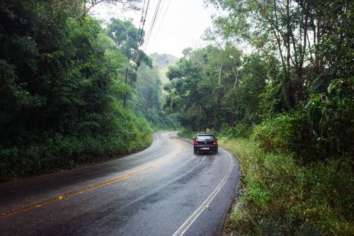 Free A car drives along a winding forest road, surrounded by lush greenery and serene nature. Stock Photo