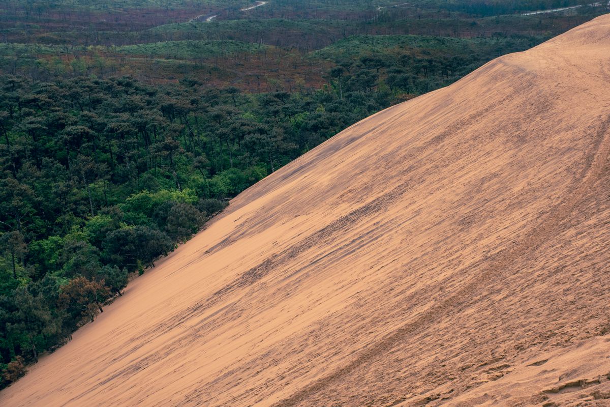 Vue sur la Dune du Pilat, Bassin d'Arcachon